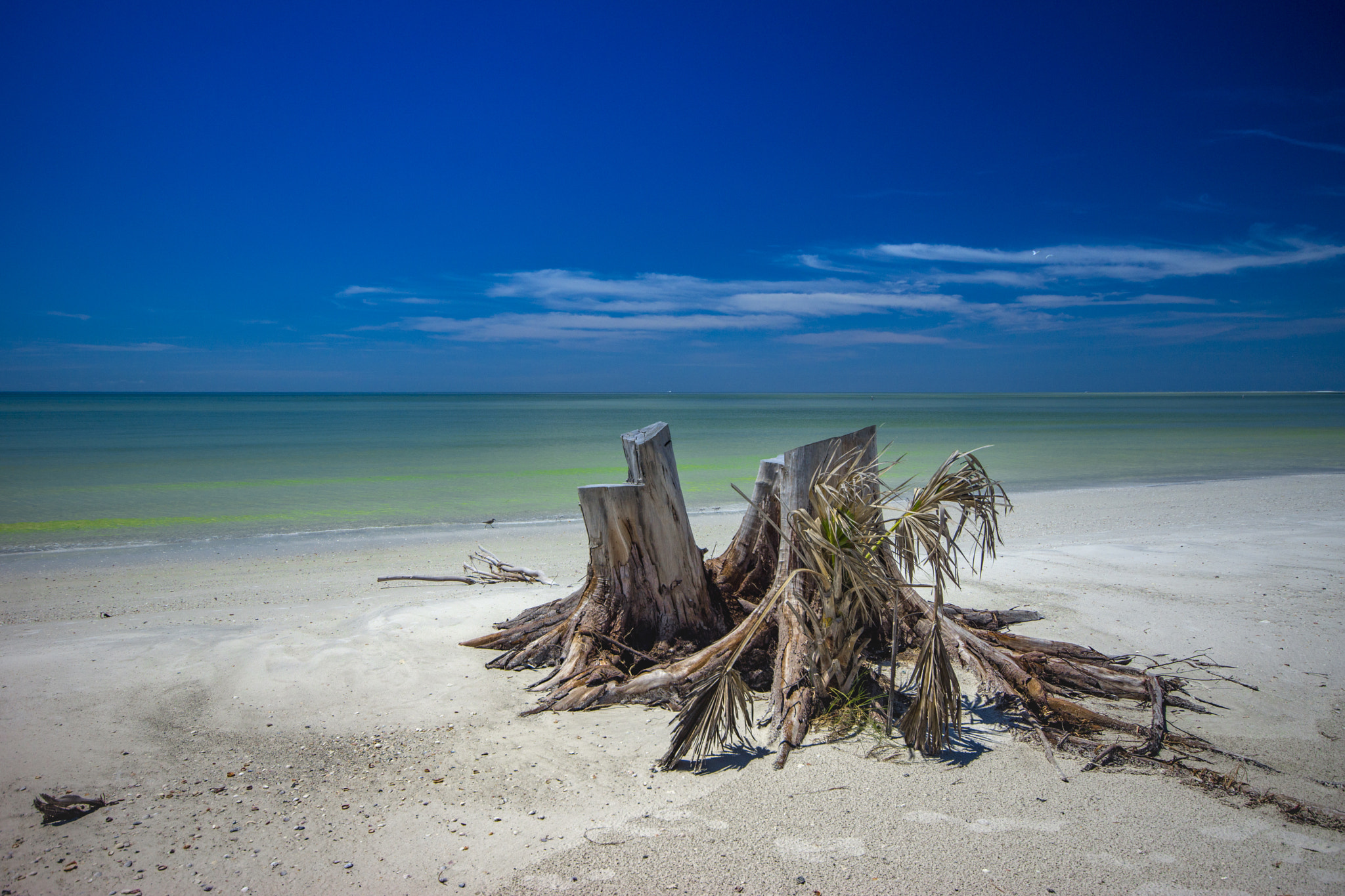 Minolta AF 28-80mm F3.5-5.6 II sample photo. Strand fort de sotto photography