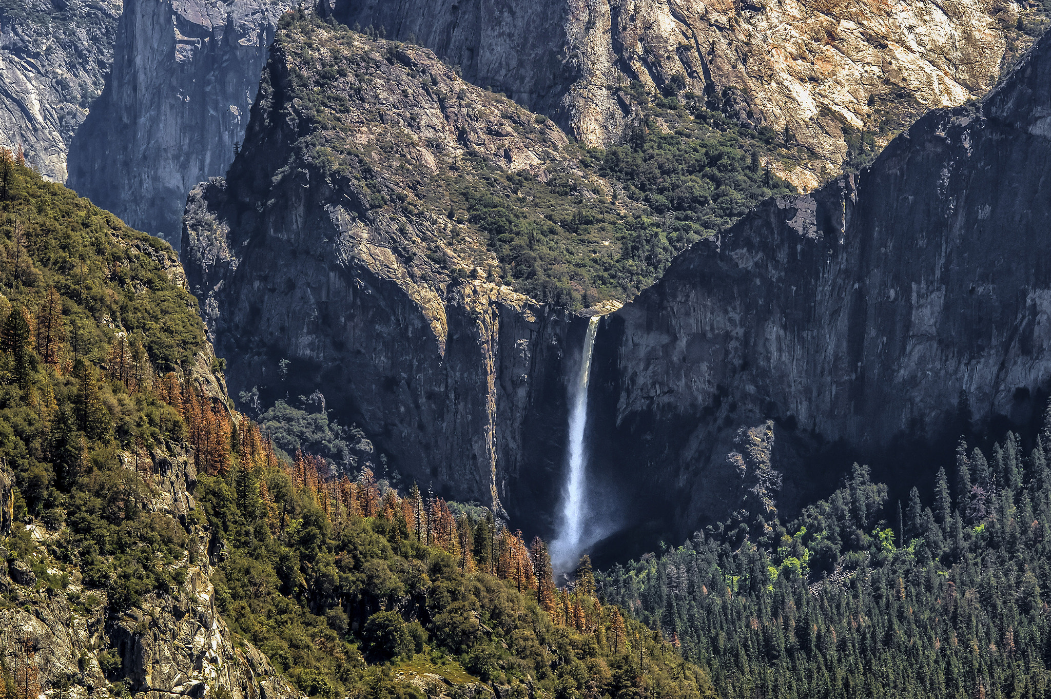 Sigma 150-500mm F5-6.3 DG OS HSM sample photo. Life valley photography