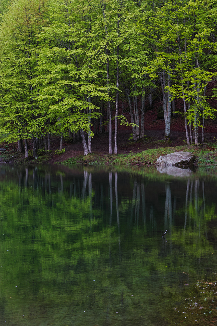 Sigma dp3 Quattro sample photo. Spring photography