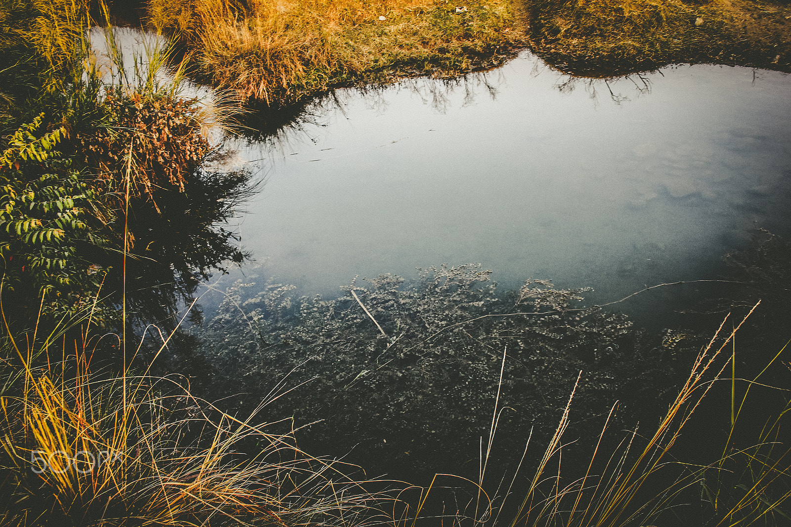 Canon EF-S 18-55mm F3.5-5.6 sample photo. Shallow by the devil photography