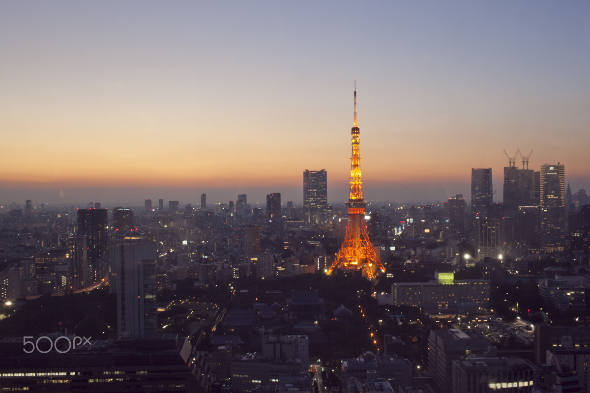 Canon EOS 5D Mark II + ZEISS Distagon T* 35mm F2 sample photo. Tokyo tower photography