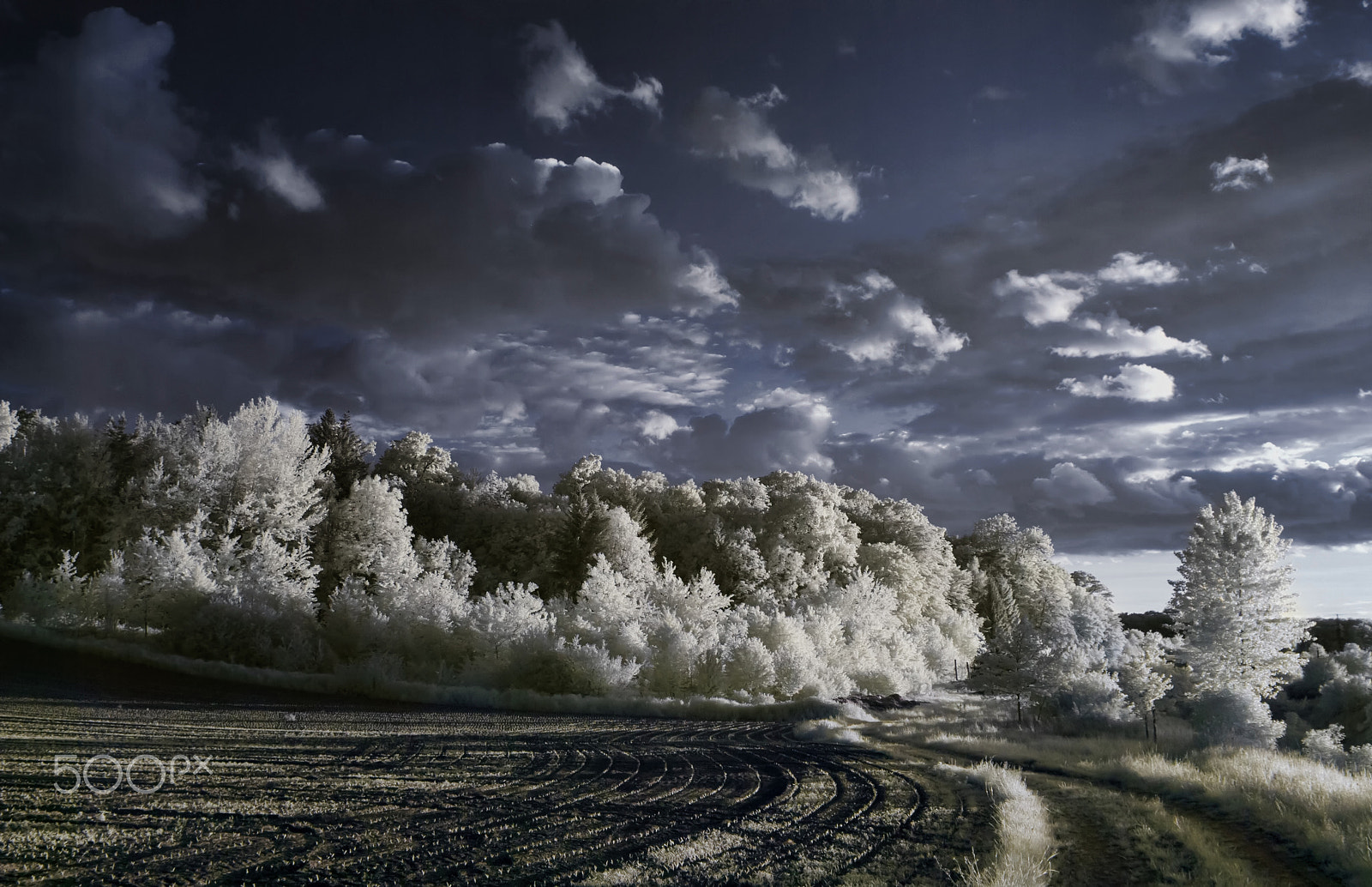 Nikon D80 + Sigma 24-70mm F2.8 EX DG Macro sample photo. Ir #3 photography
