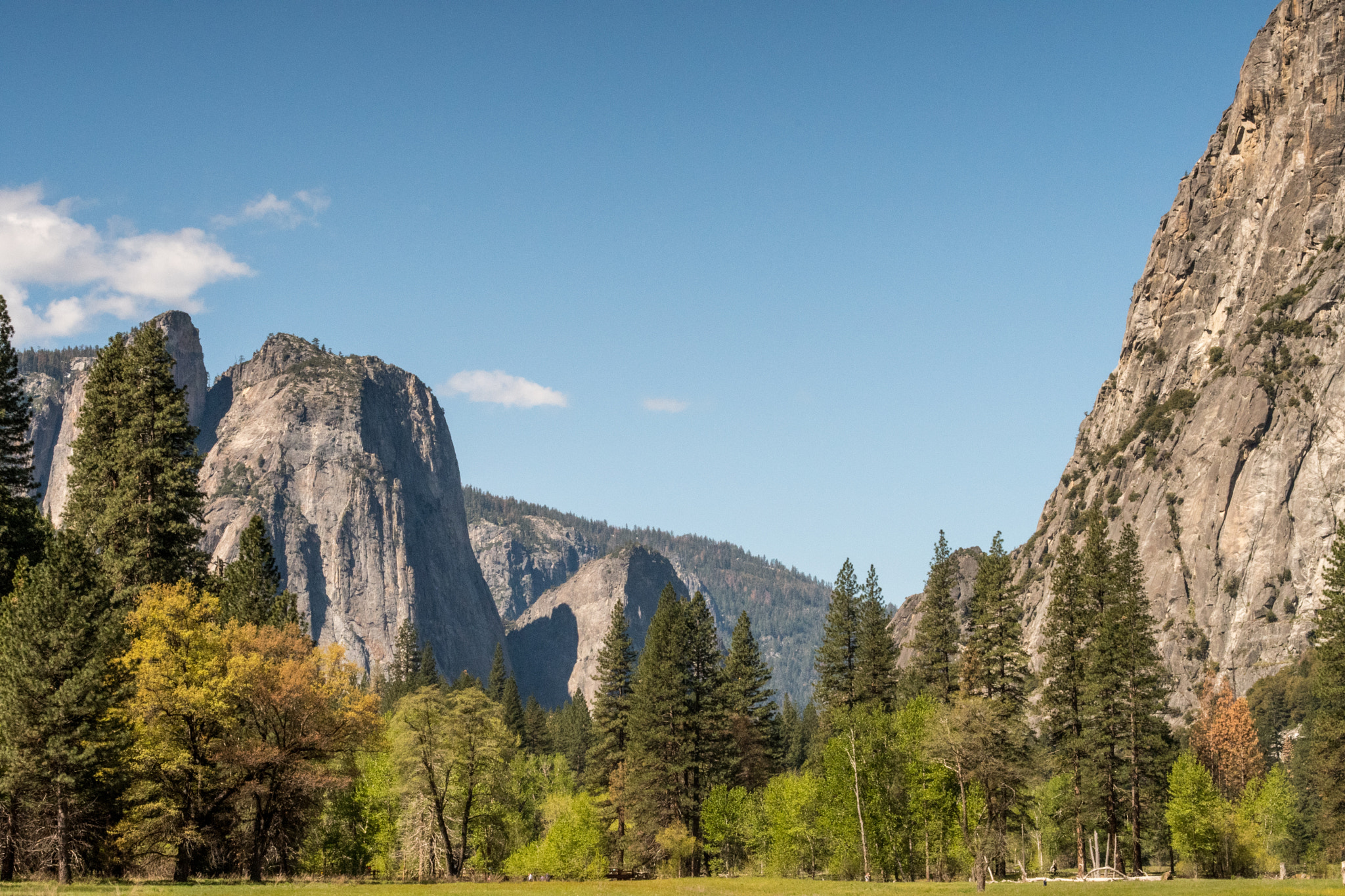 Nikon D500 sample photo. Yosemite photography
