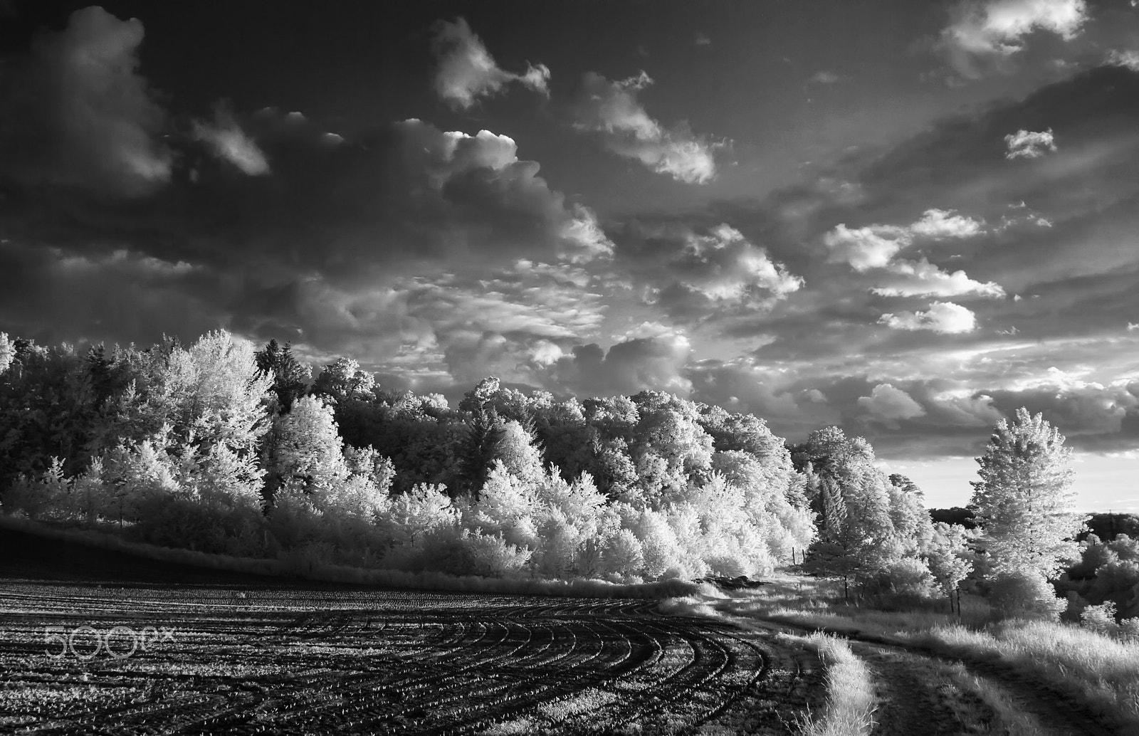 Nikon D80 + Sigma 24-70mm F2.8 EX DG Macro sample photo. Ir #3 bw photography