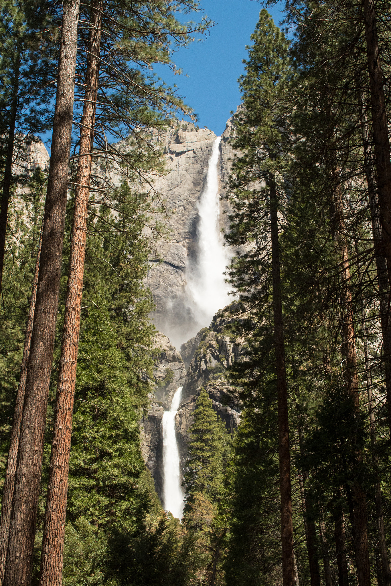 Nikon D500 sample photo. Yosemite falls photography