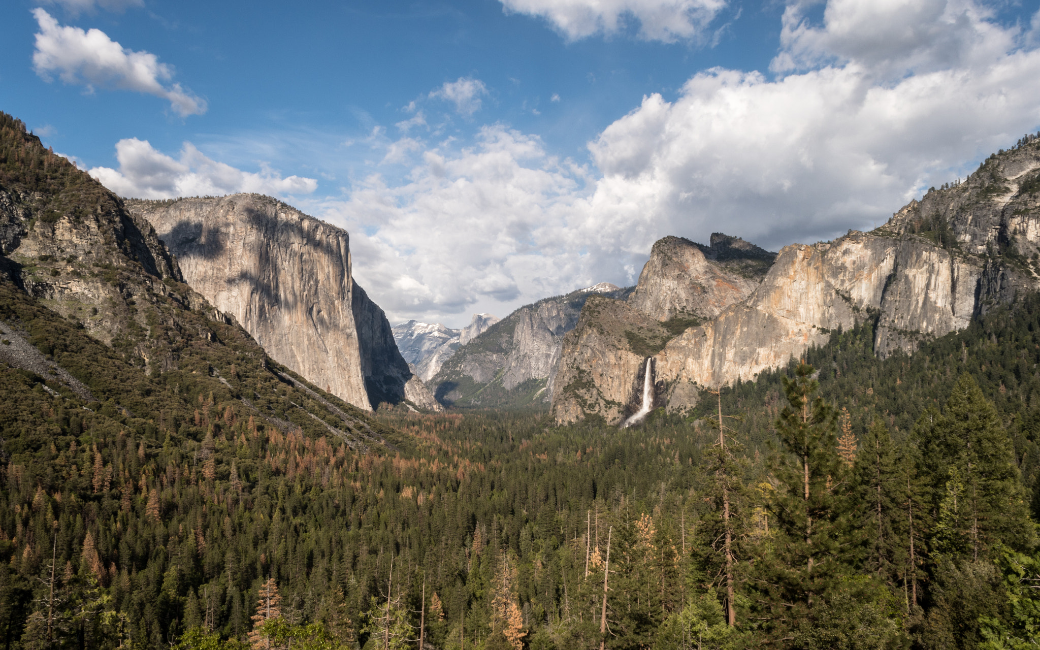 Nikon D500 sample photo. Yosemite photography