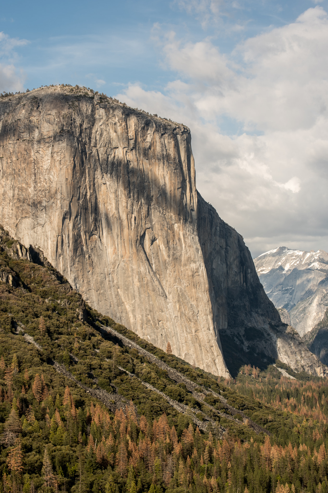 Nikon D500 sample photo. Yosemite photography
