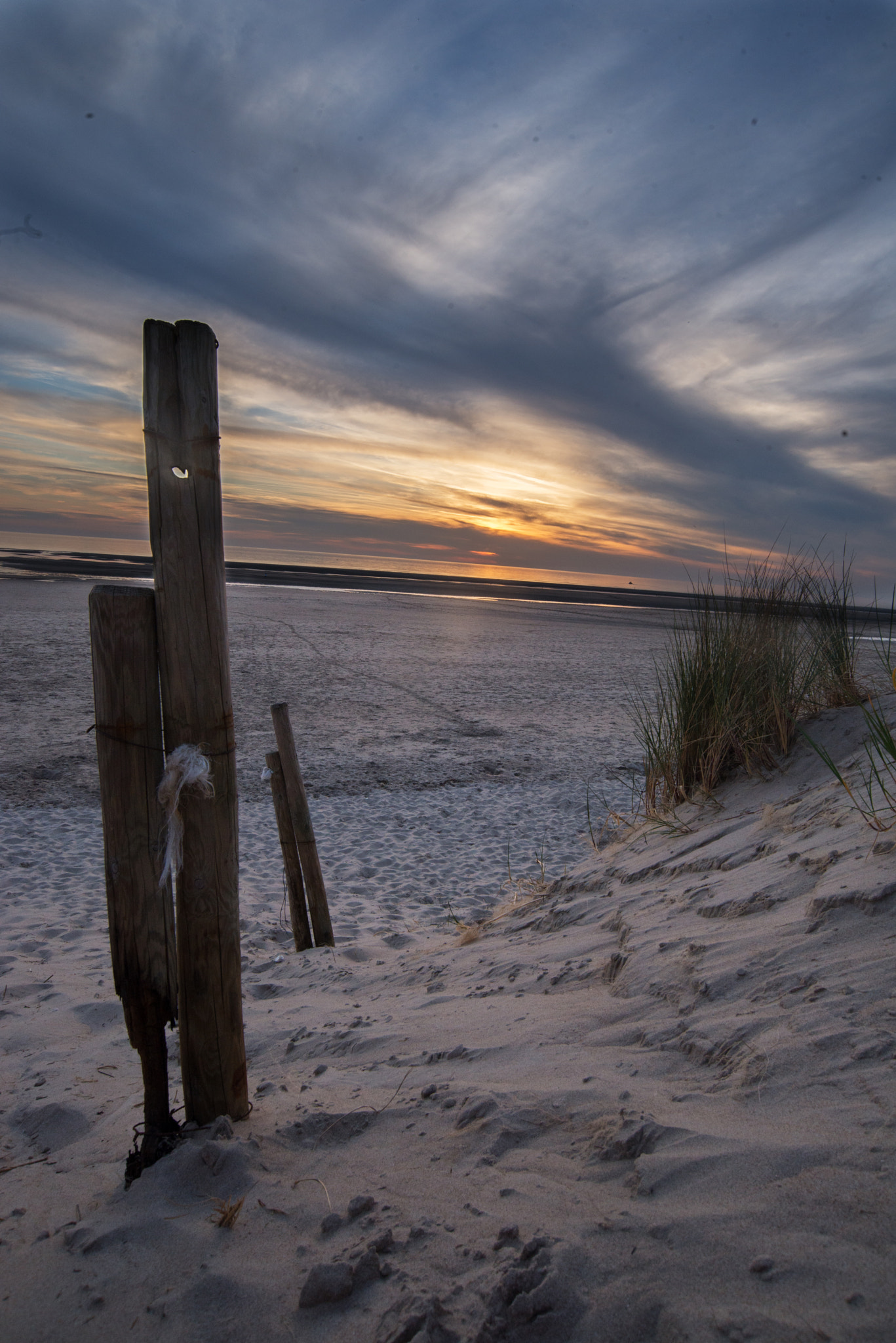 Nikon D600 sample photo. Dune photography