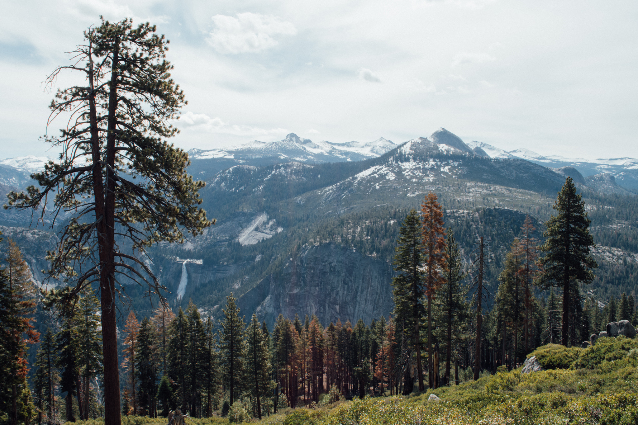 Nikon D500 sample photo. Yosemite photography