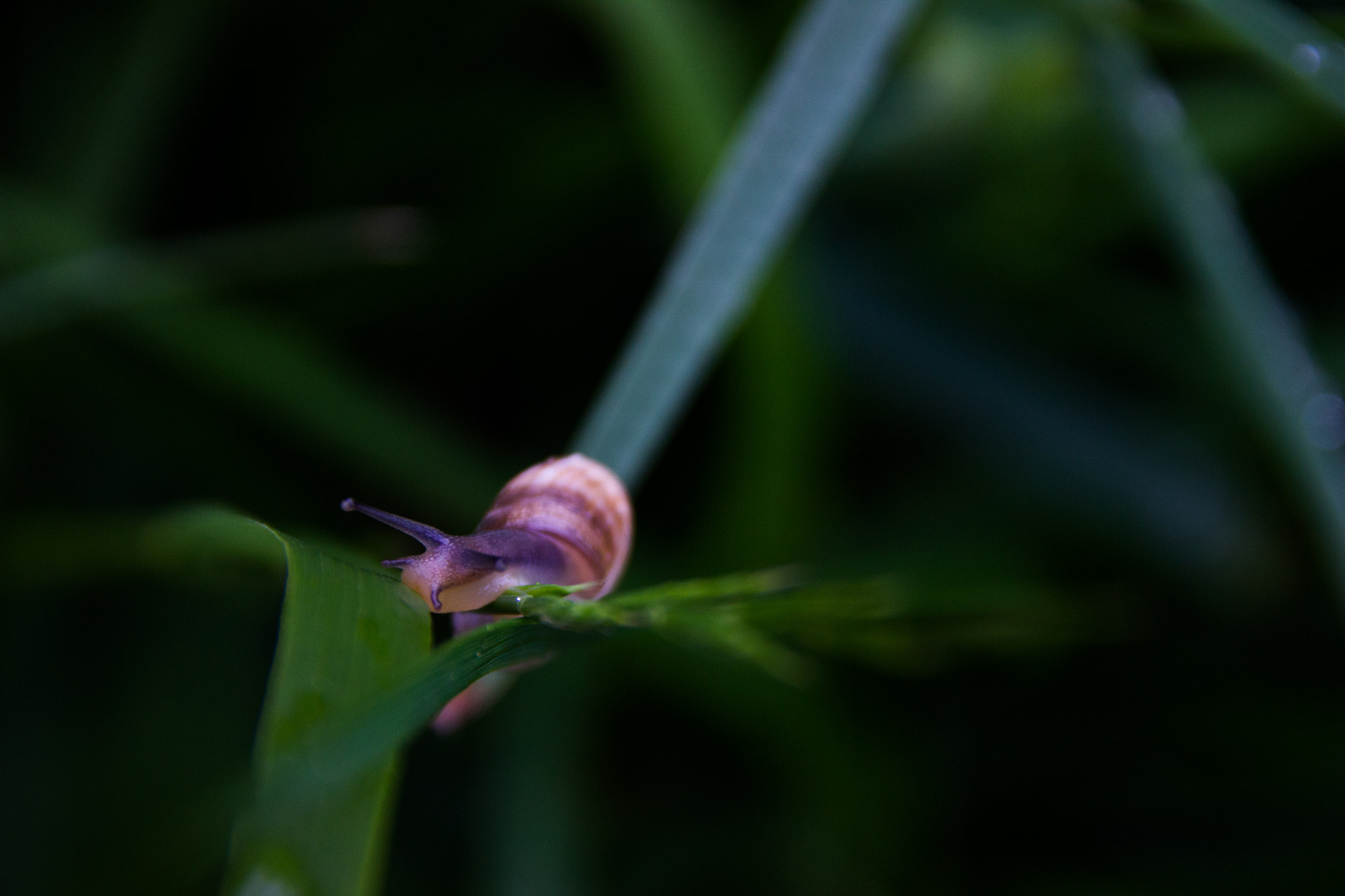 Sigma 18-125mm F3.8-5.6 DC OS HSM sample photo. 20160514_9999_12.jpg photography