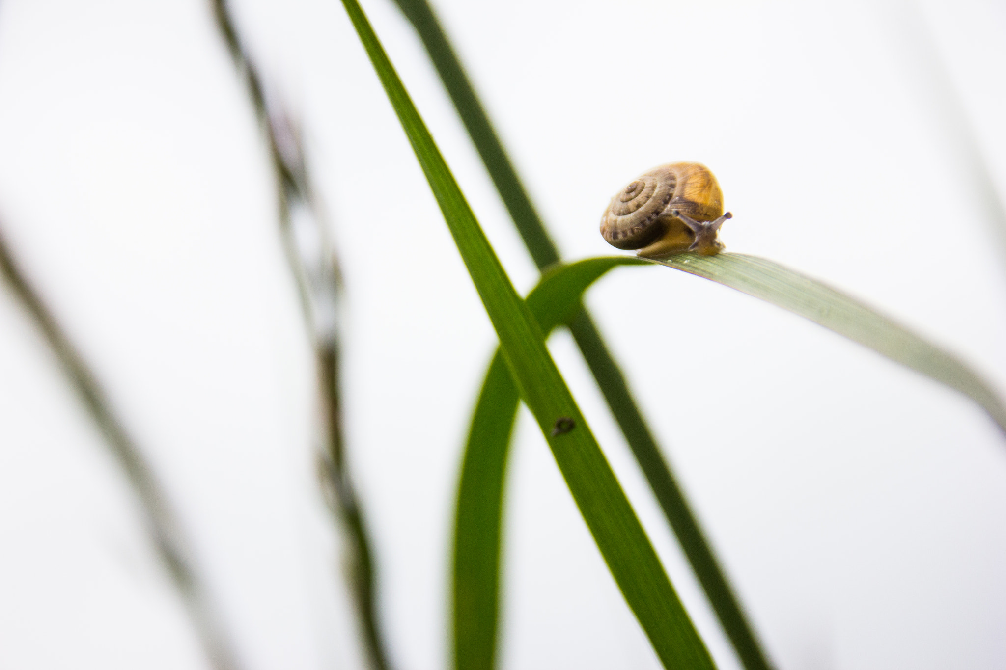 Sigma 18-125mm F3.8-5.6 DC OS HSM sample photo. 20160514_9999_6.jpg photography