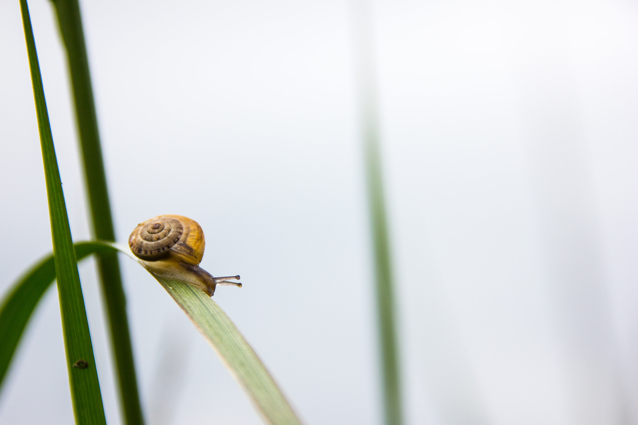 Sigma 18-125mm F3.8-5.6 DC OS HSM sample photo. 20160514_9999_5.jpg photography
