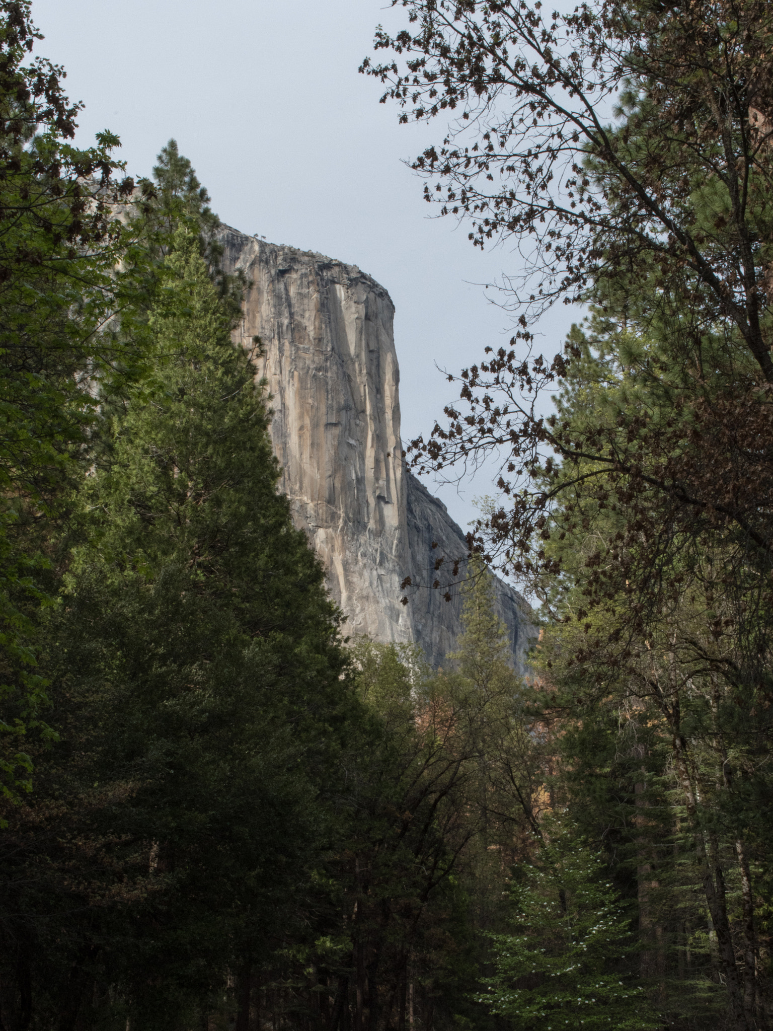 Nikon D500 sample photo. Yosemite photography