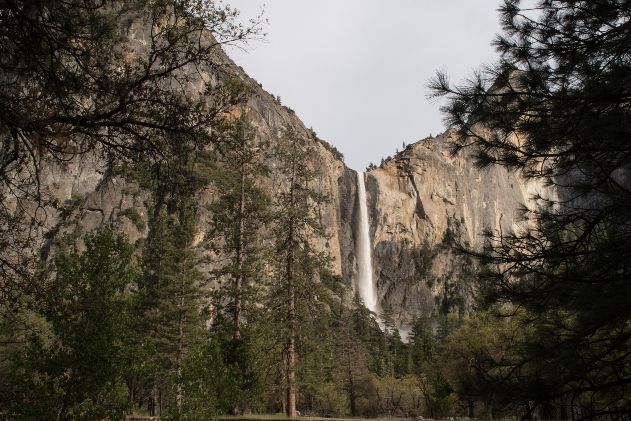 Nikon D500 sample photo. Yosemite photography