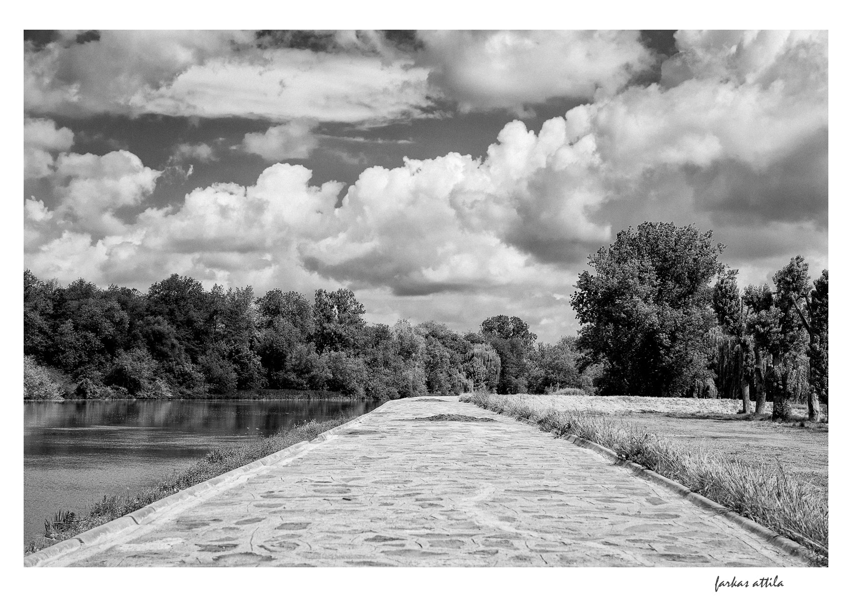 Nikon D60 sample photo. Walk... photography