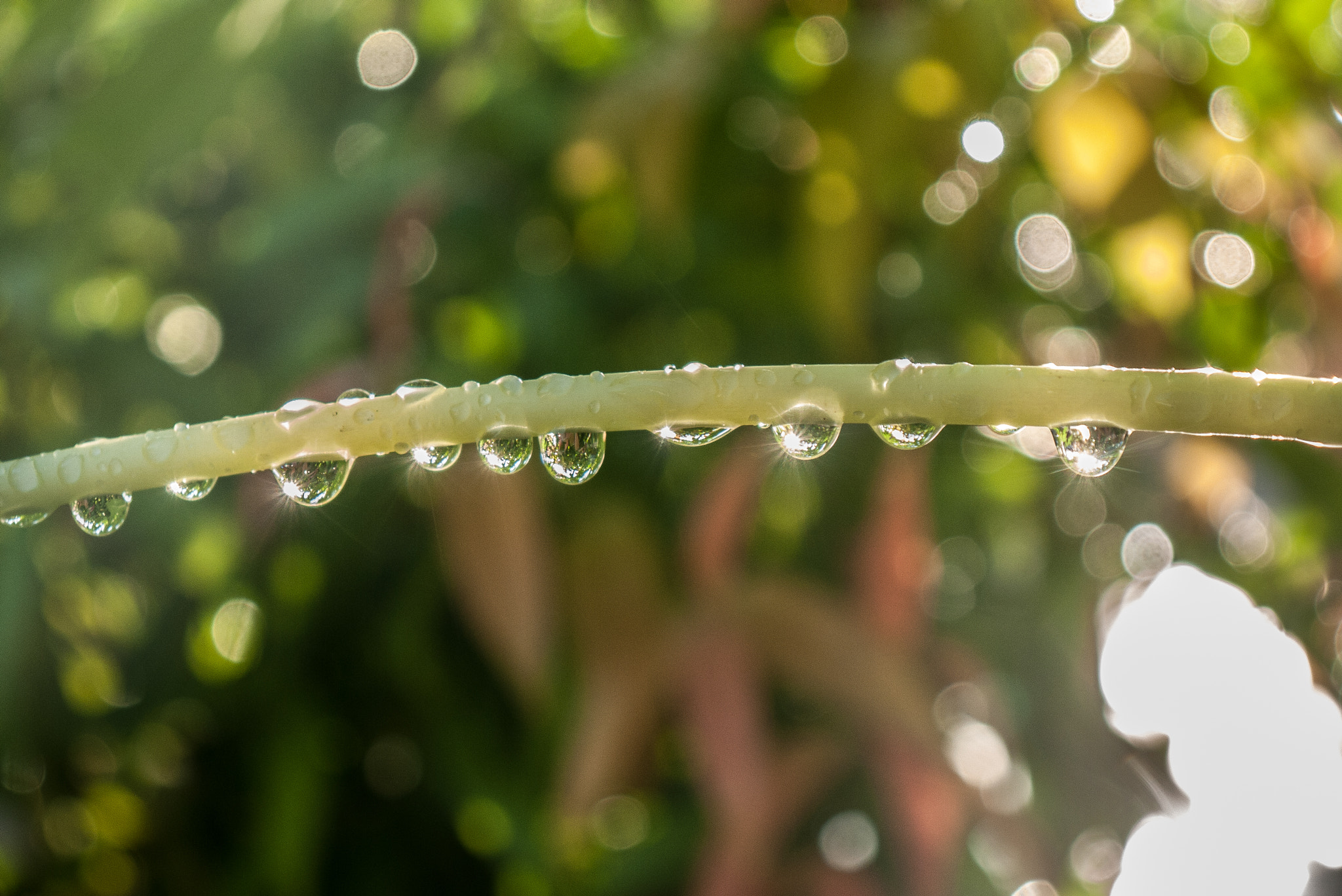 Panasonic Lumix DMC-GF2 + Panasonic Lumix G Vario 14-42mm F3.5-5.6 ASPH OIS sample photo. After rain photography