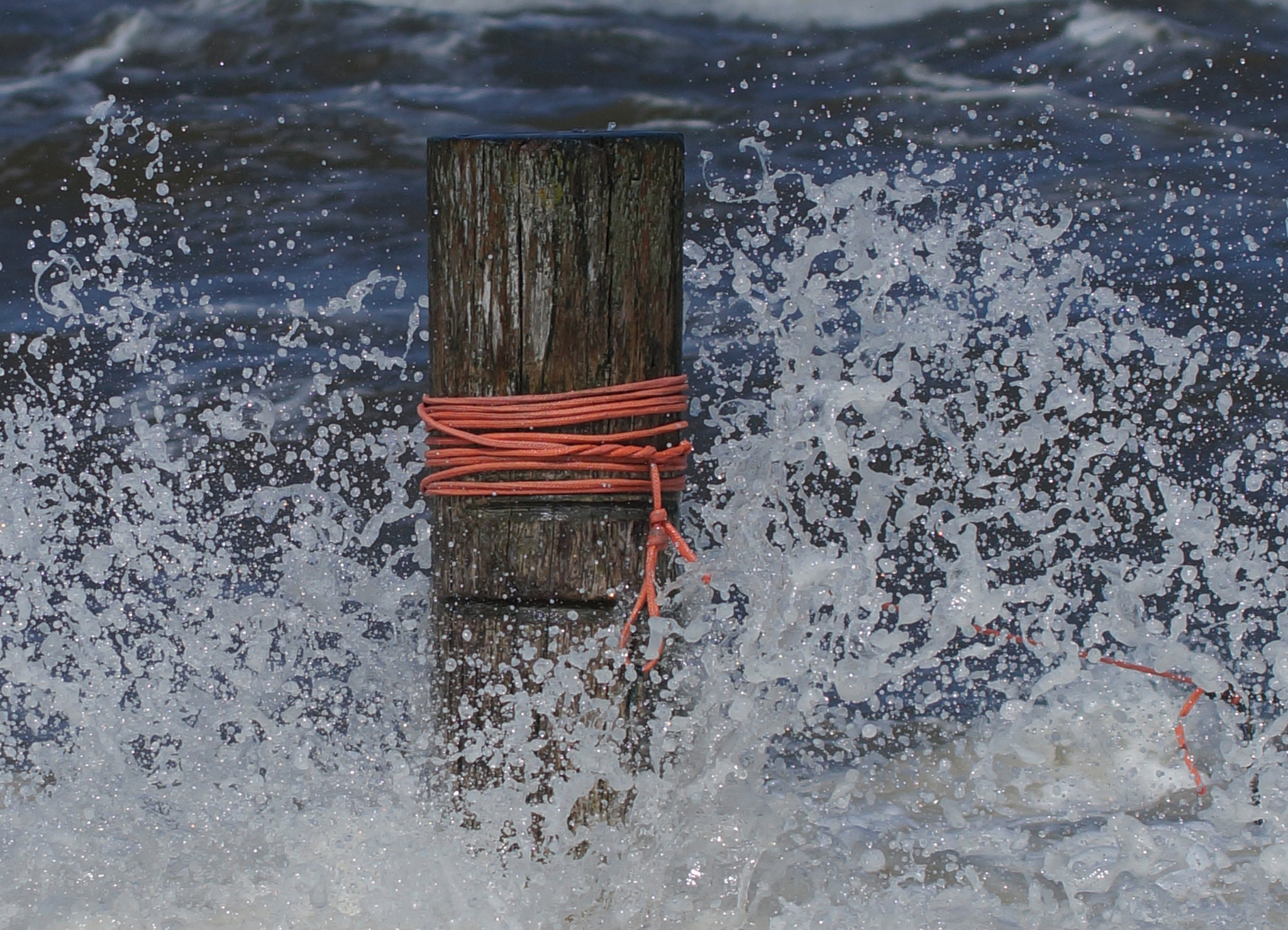 Sony SLT-A57 + Tamron Lens (255) sample photo. Norderney photography