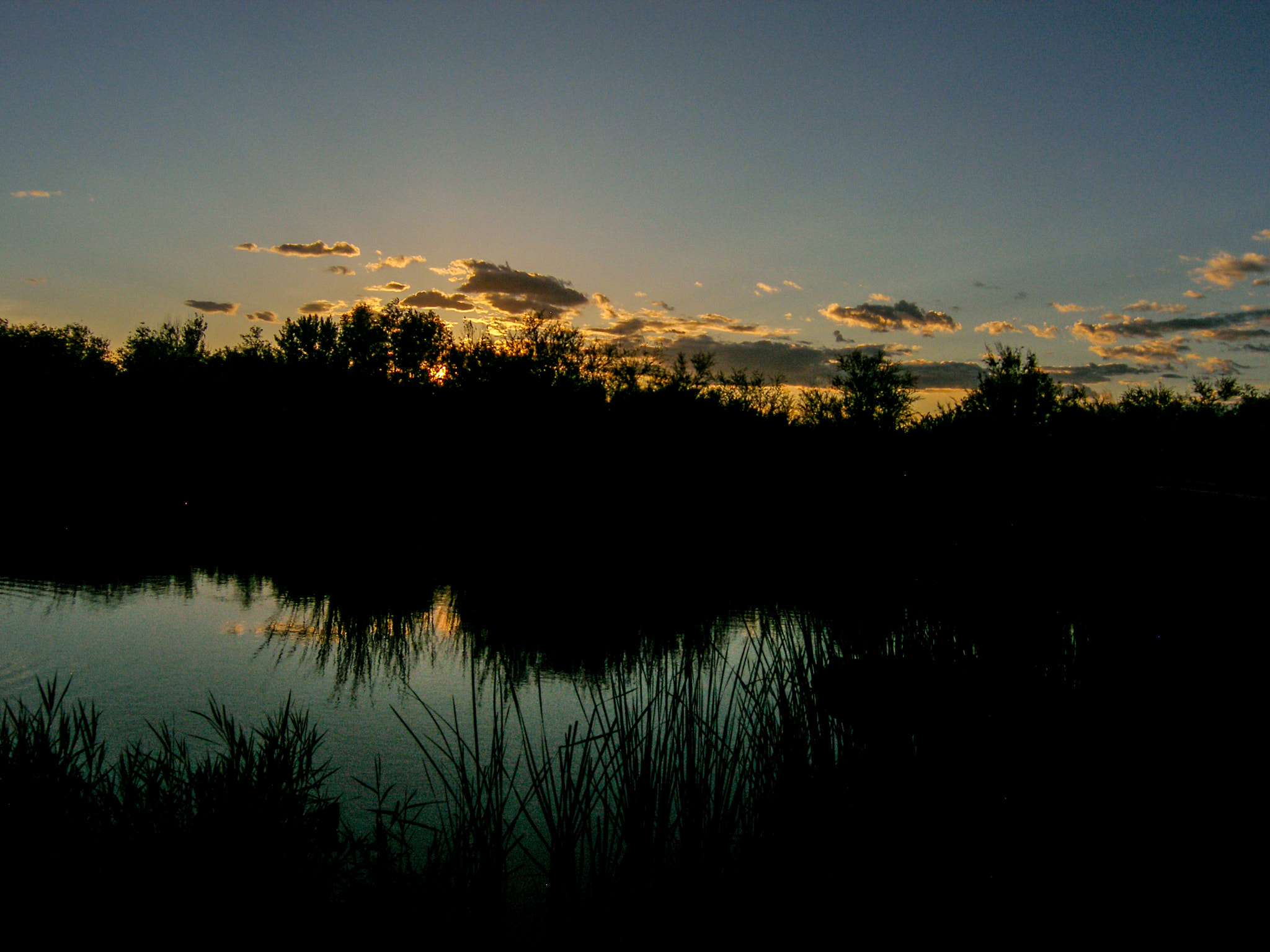 Olympus C7070WZ sample photo. Boardwalk pond photography