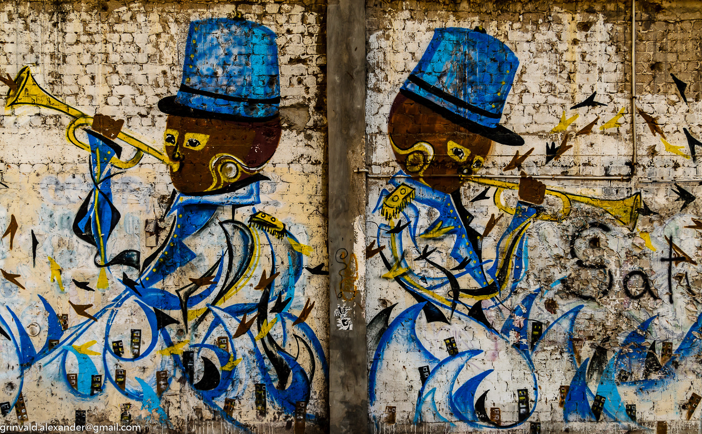 Nikon D7000 + Sigma 18-50mm F2.8 EX DC Macro sample photo. Unusual graffiti photography