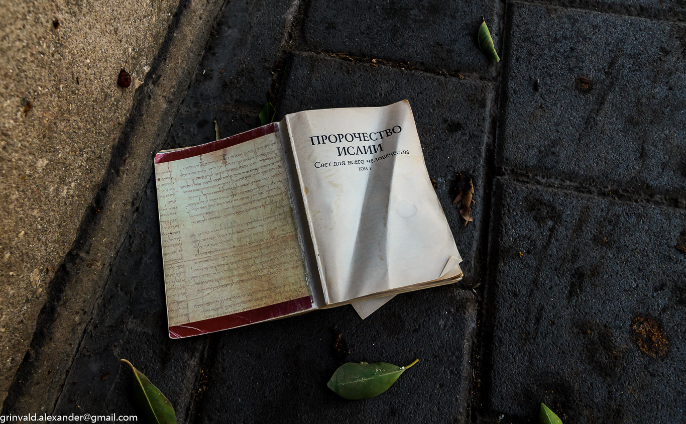 Nikon D7000 + Sigma 18-50mm F2.8 EX DC Macro sample photo. Isaiah's prophecy photography
