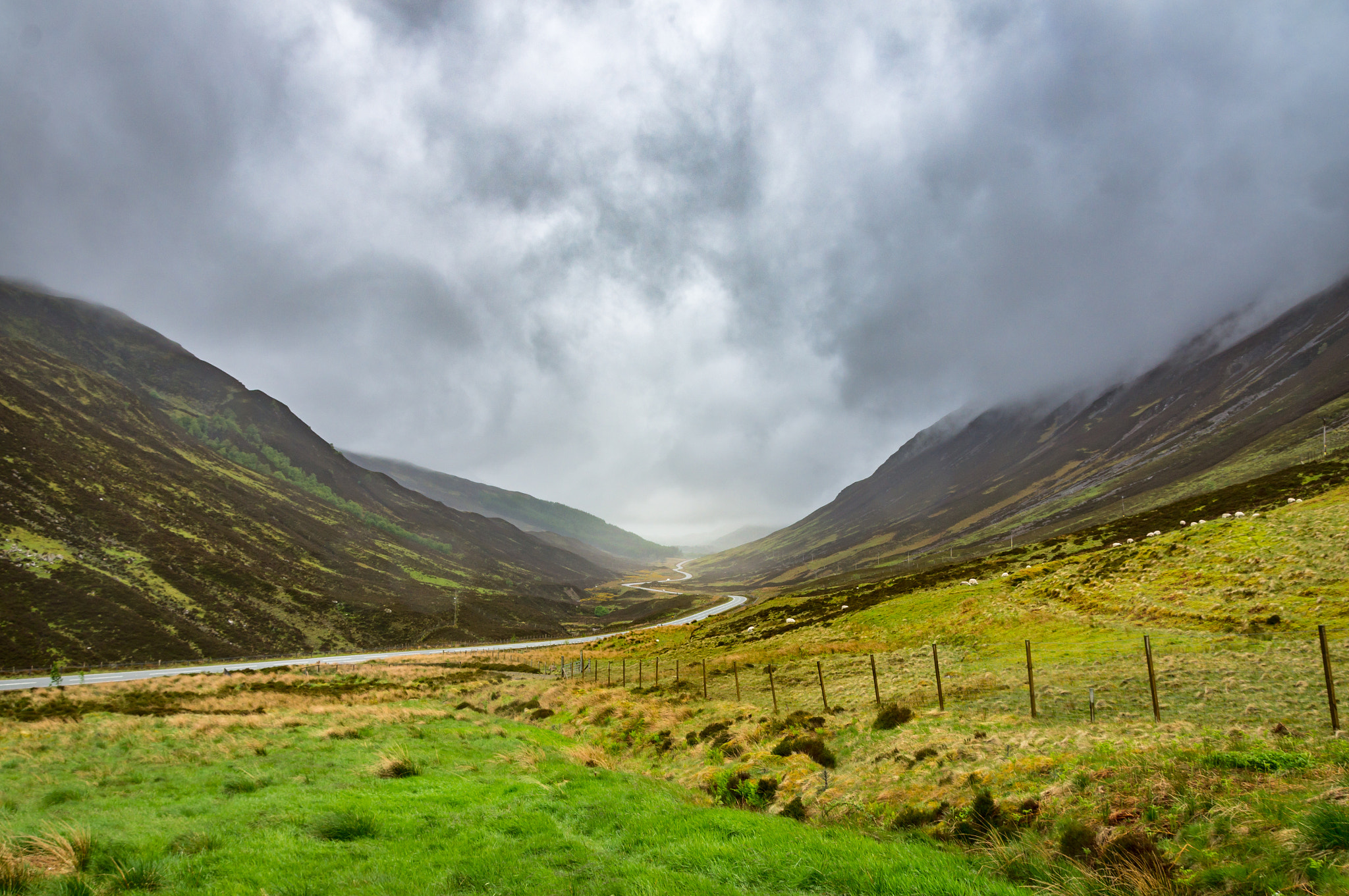 Sony Alpha DSLR-A580 sample photo. Foggy valley photography