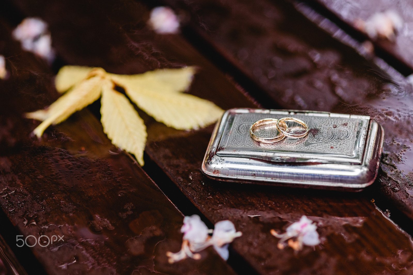 ZEISS Makro-Planar T* 100mm F2 sample photo. Wedding rings in the rain photography