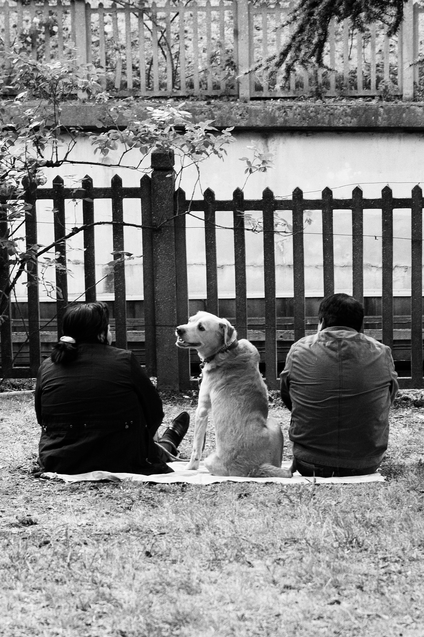Sigma 17-50mm F2.8 EX DC OS HSM sample photo. Longlasting friendship photography