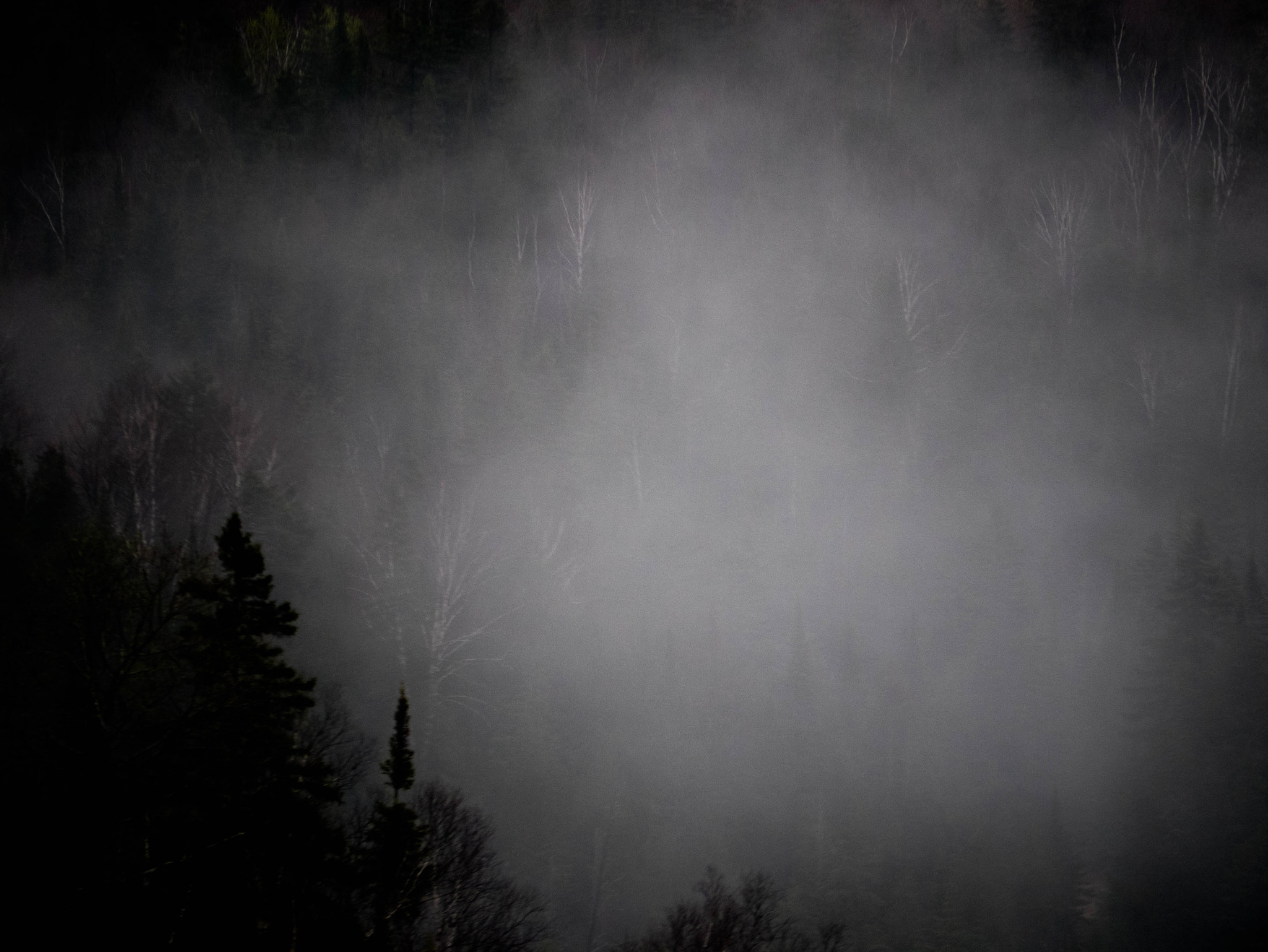 Panasonic Lumix G Vario 45-200mm F4-5.6 OIS sample photo. Foggy day photography