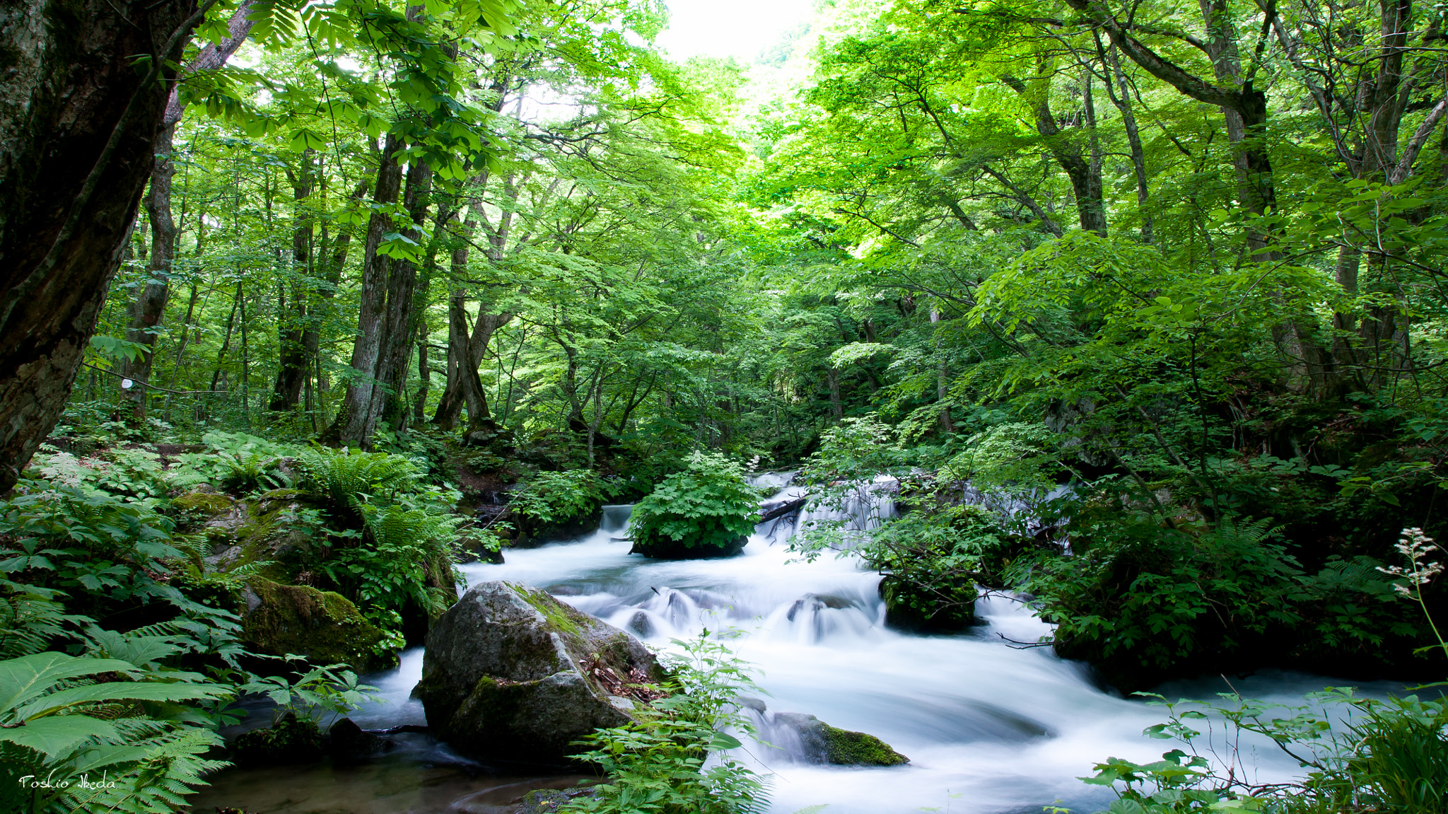 Sony Alpha DSLR-A700 sample photo. Stream  奥入瀬 photography