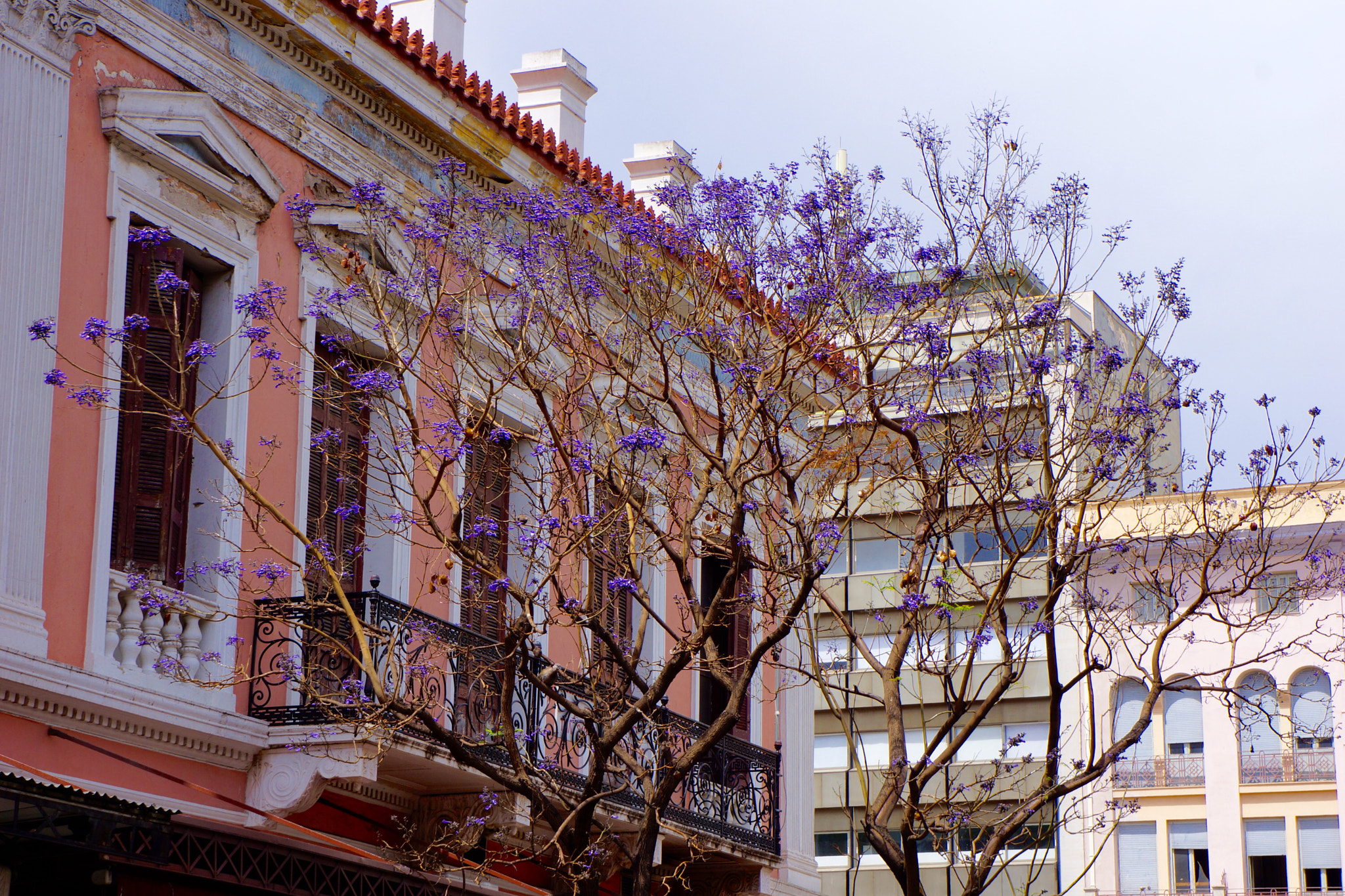 Sony FE 28-70mm F3.5-5.6 OSS sample photo. Athens, greece photography