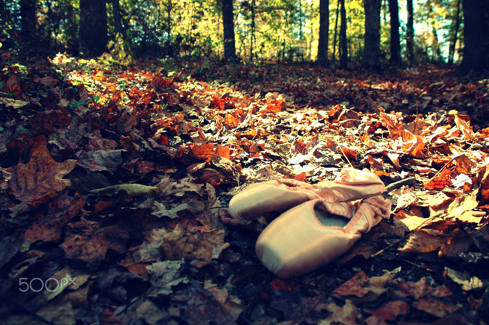 Nikon D70s sample photo. Bsho copy photography