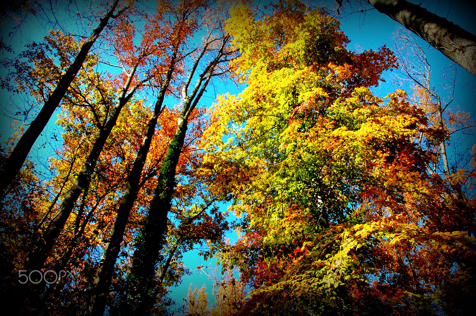 Nikon D70s sample photo. Jgv photography