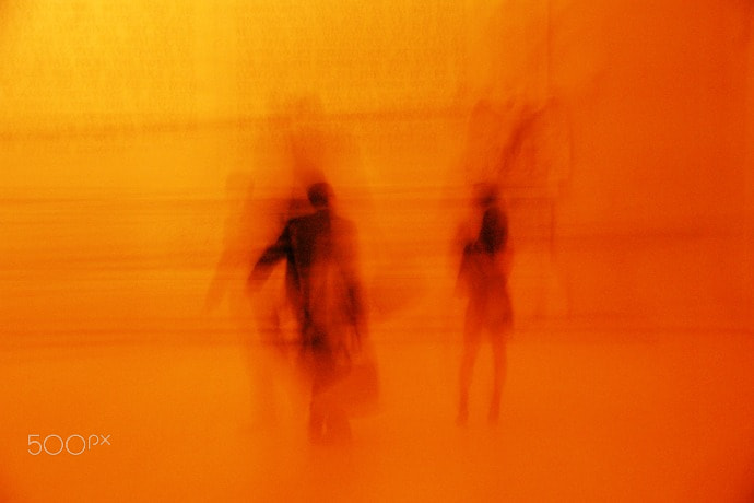 Nikon D70s sample photo. Noname photography