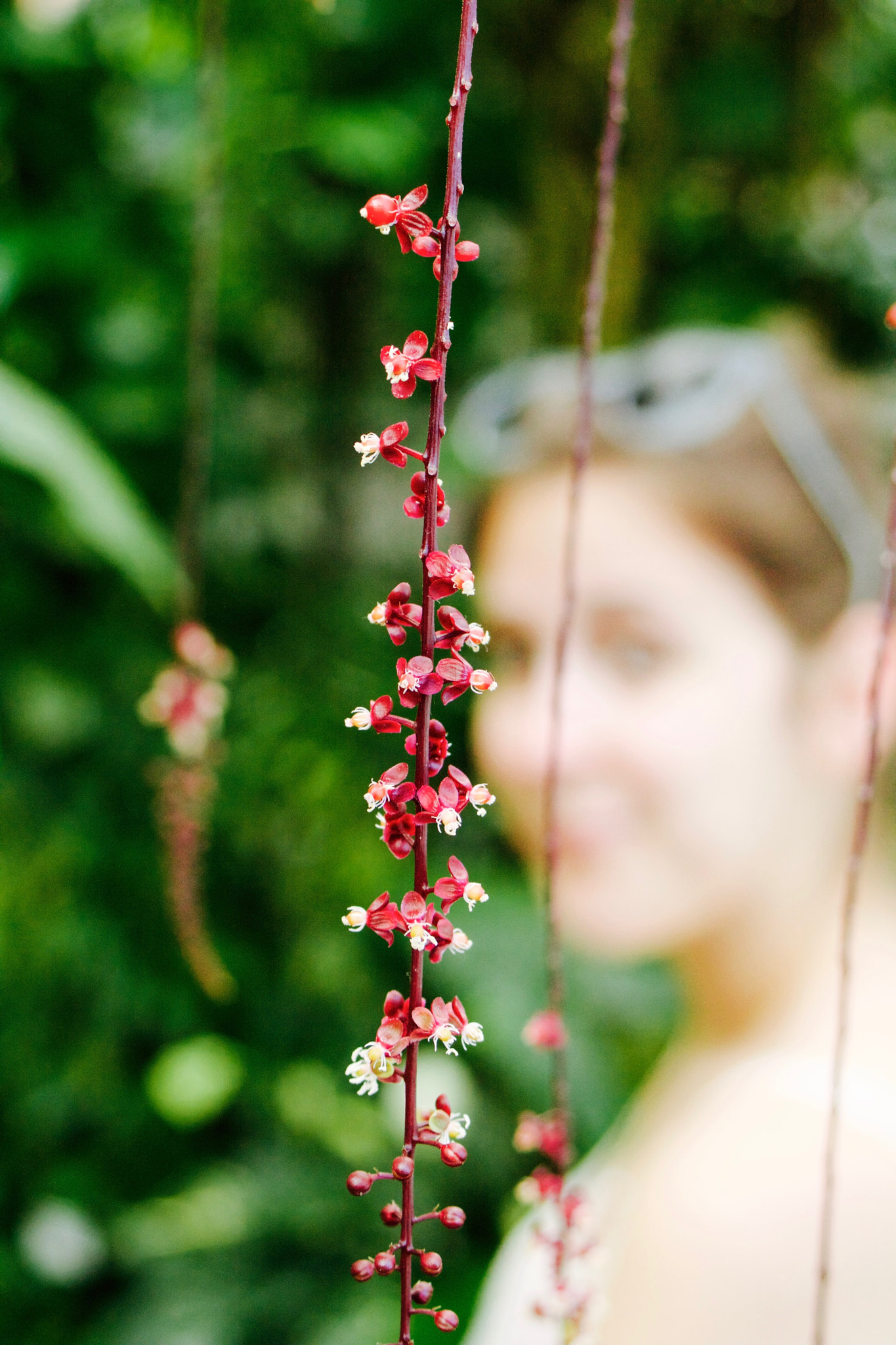 Canon EF 28-80mm f/3.5-5.6 sample photo. Focus photography