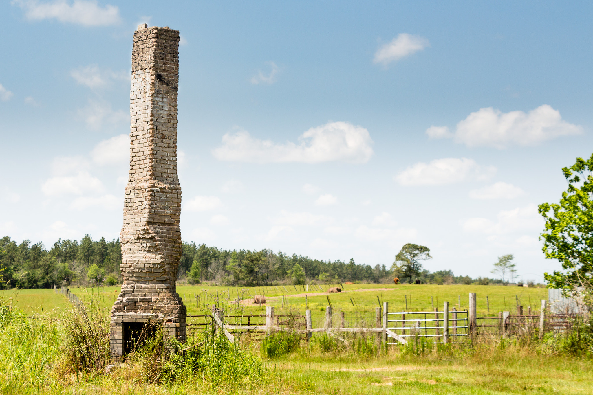 Canon EF-S 18-135mm F3.5-5.6 IS STM sample photo. Chimney photography