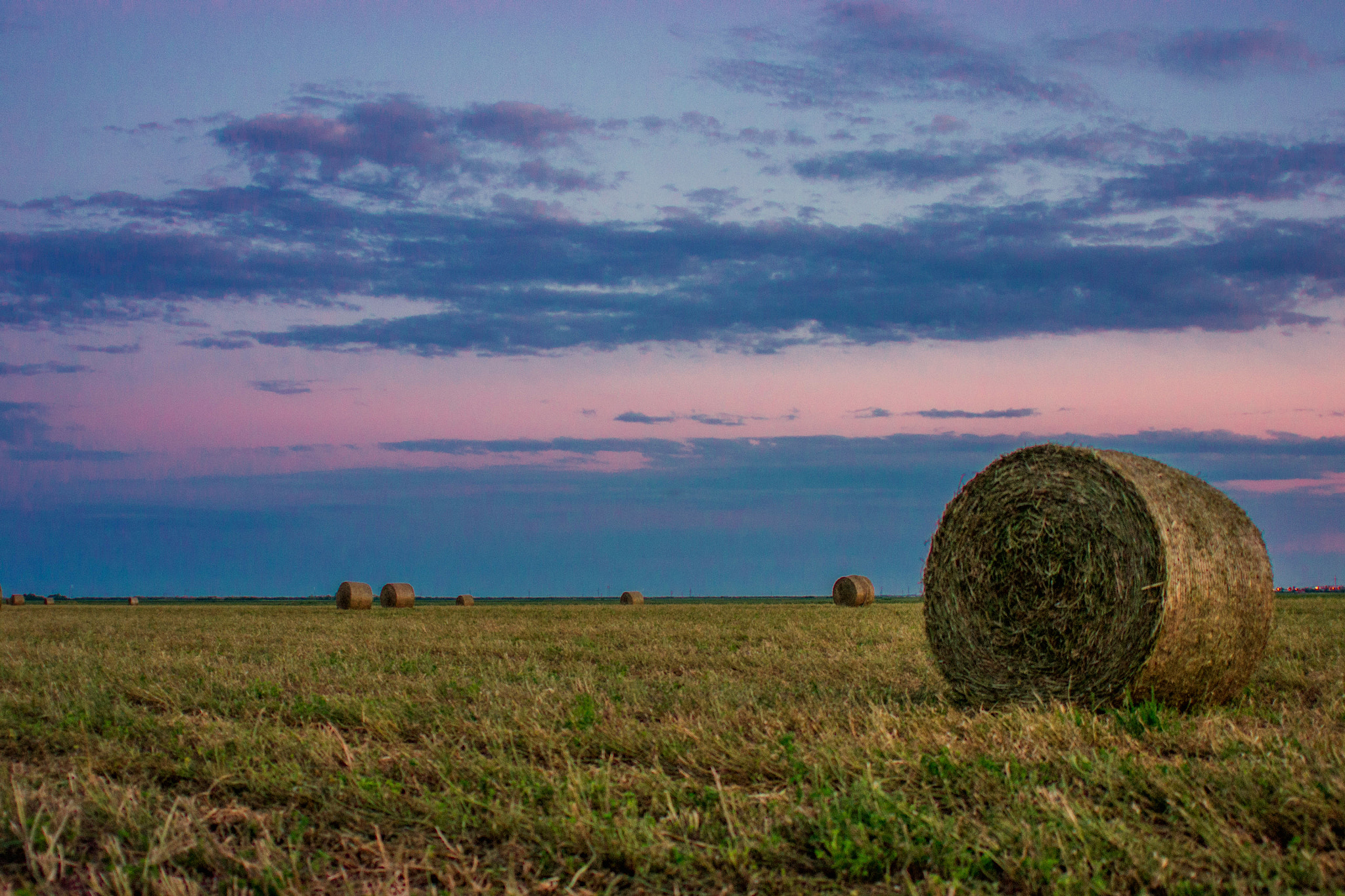 Nikon D3100 + AF Zoom-Nikkor 28-200mm f/3.5-5.6D IF sample photo. One evening in a field photography