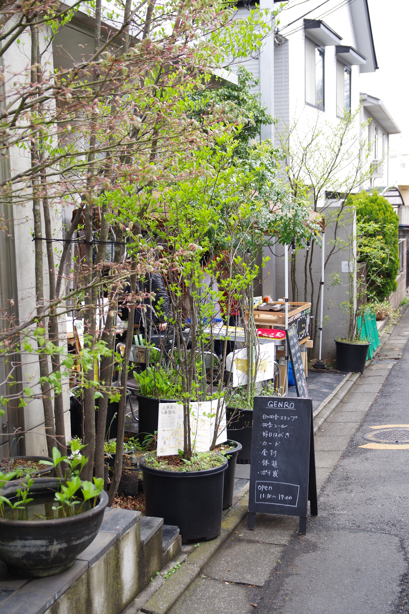 Sigma 17-70mm F2.8-4 DC Macro HSM | C sample photo. 150411_kamiigusa photography