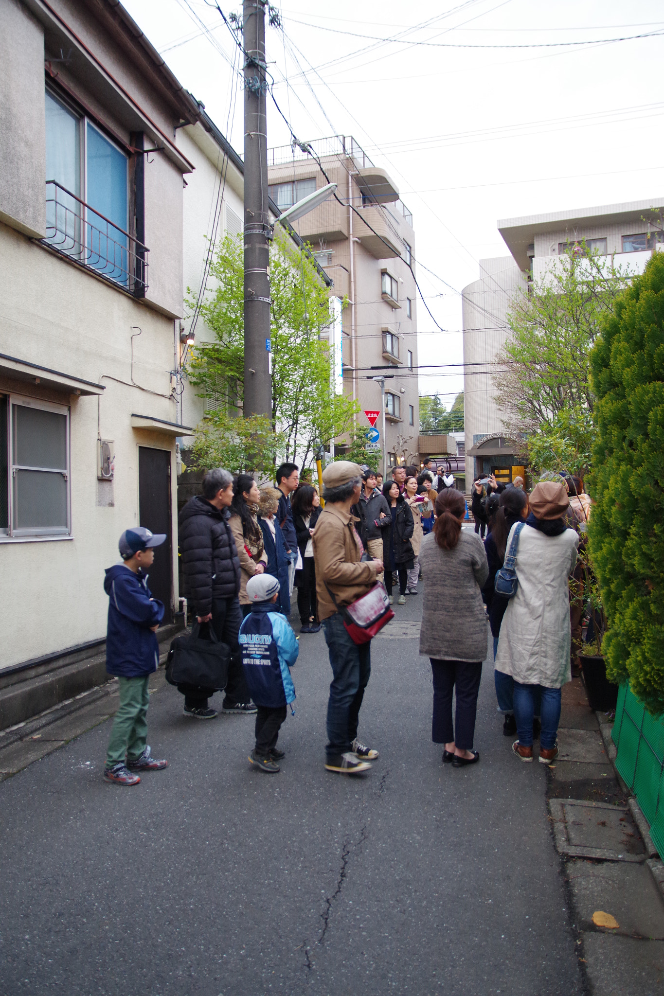 Sigma 17-70mm F2.8-4 DC Macro HSM | C sample photo. 150411_kamiigusa photography