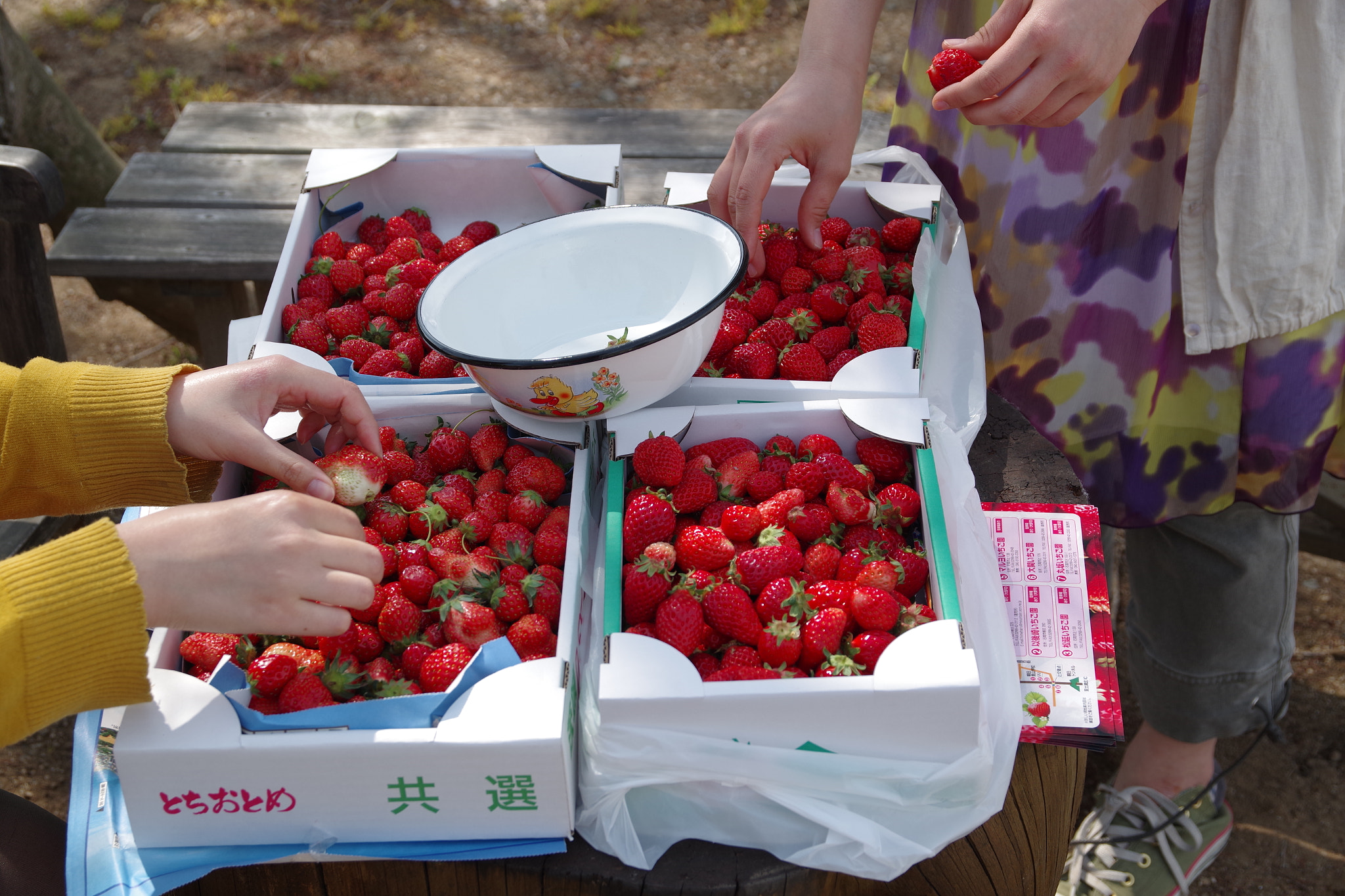 Sigma 17-70mm F2.8-4 DC Macro HSM | C sample photo. 150328_ishioka photography