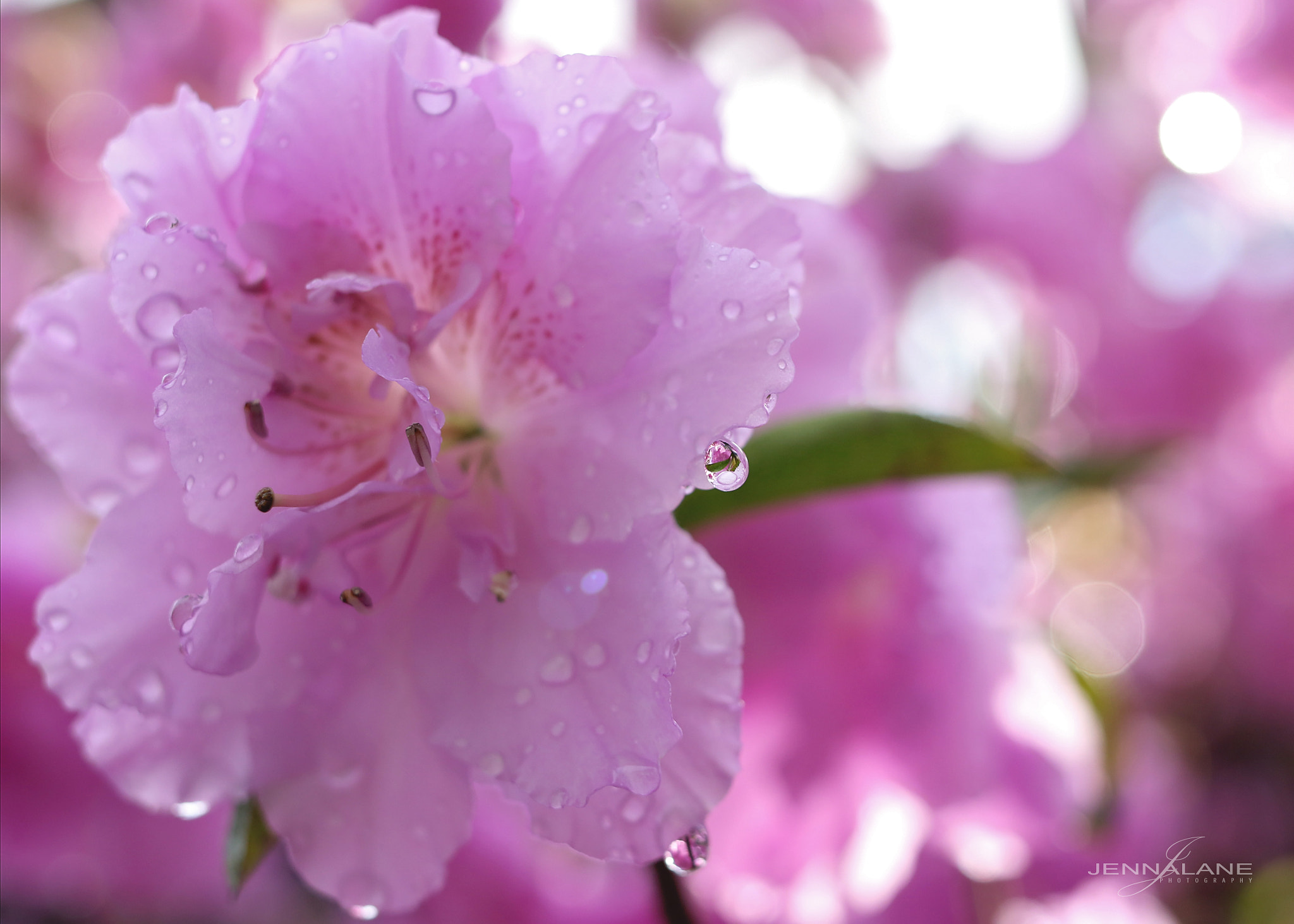 Canon EF 35mm F2 IS USM sample photo. Rain photography