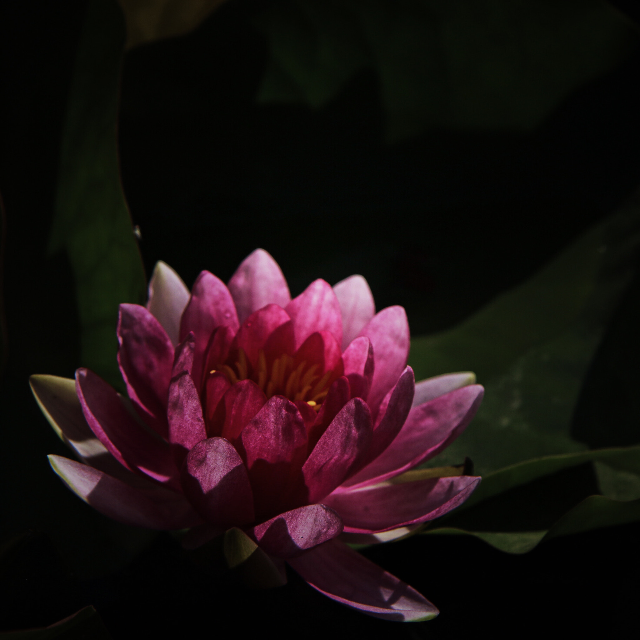 Canon EF-S 17-85mm F4-5.6 IS USM sample photo