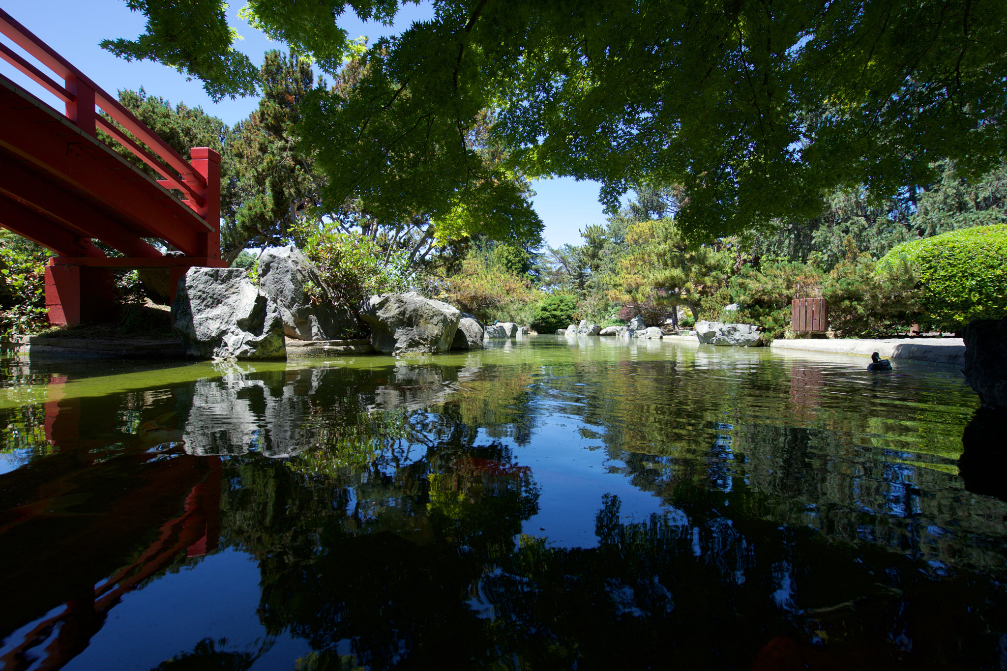 Sony a7 + Sony Vario-Tessar T* FE 16-35mm F4 ZA OSS sample photo. Find your zen photography
