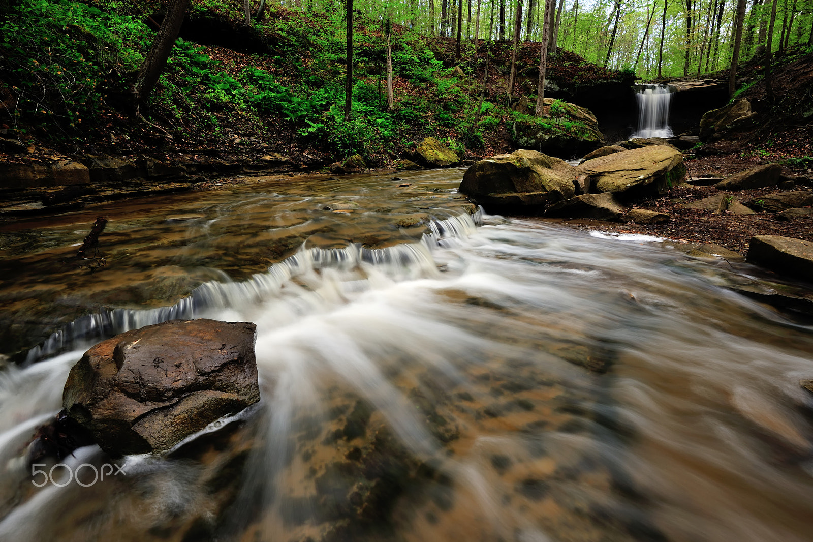 Nikon D3X sample photo. Downstream photography