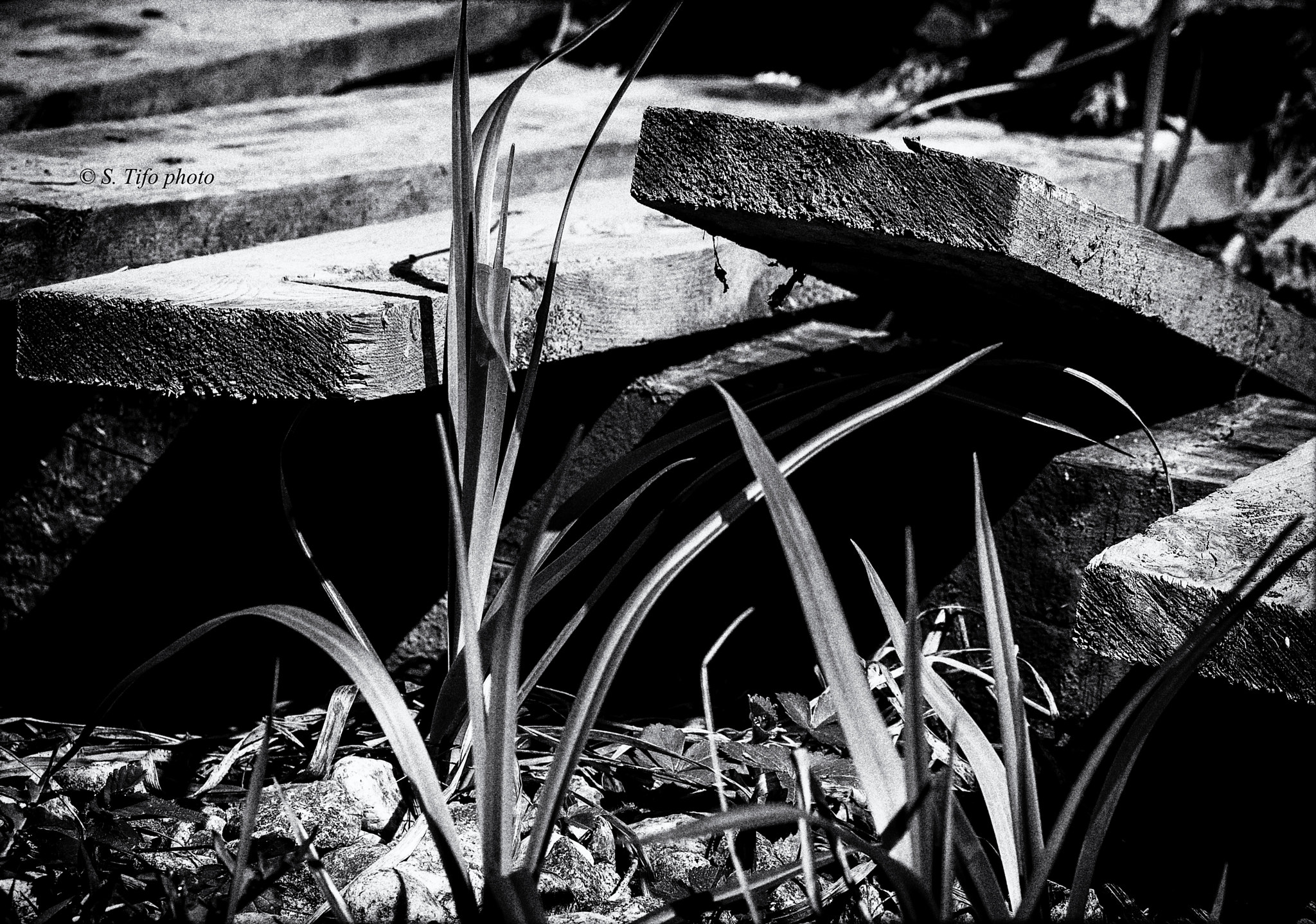 Sigma 105mm F2.8 EX DG OS HSM sample photo. Grass and wood ... photography