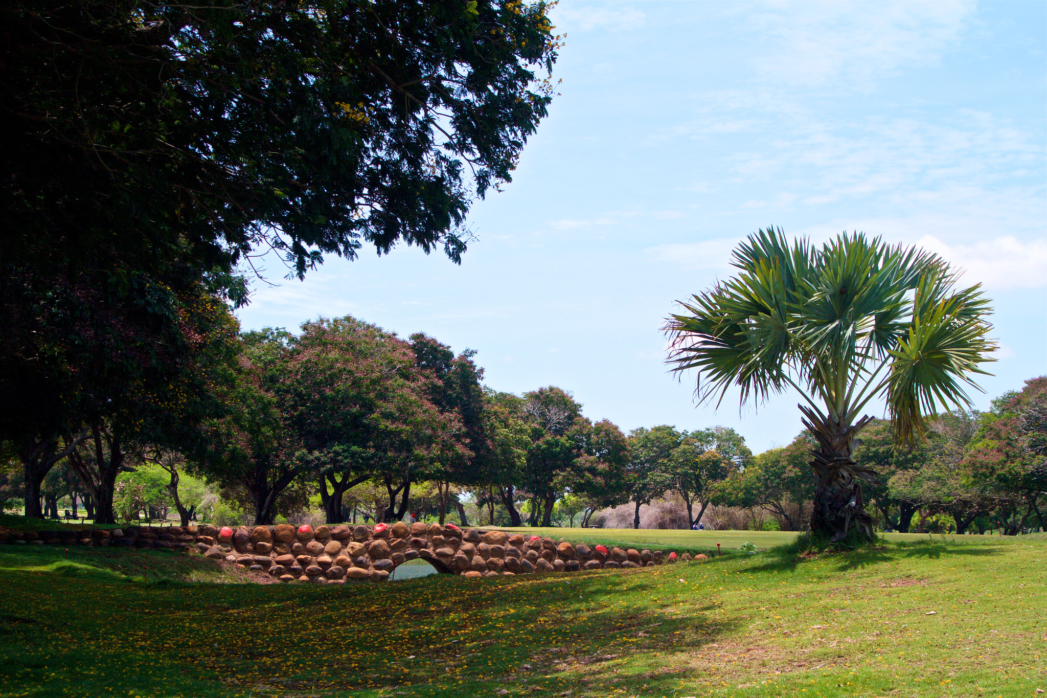 Canon EOS 60D + Canon EF 35-105mm f/4.5-5.6 sample photo. Maracaibo country club green hoy 9 photography