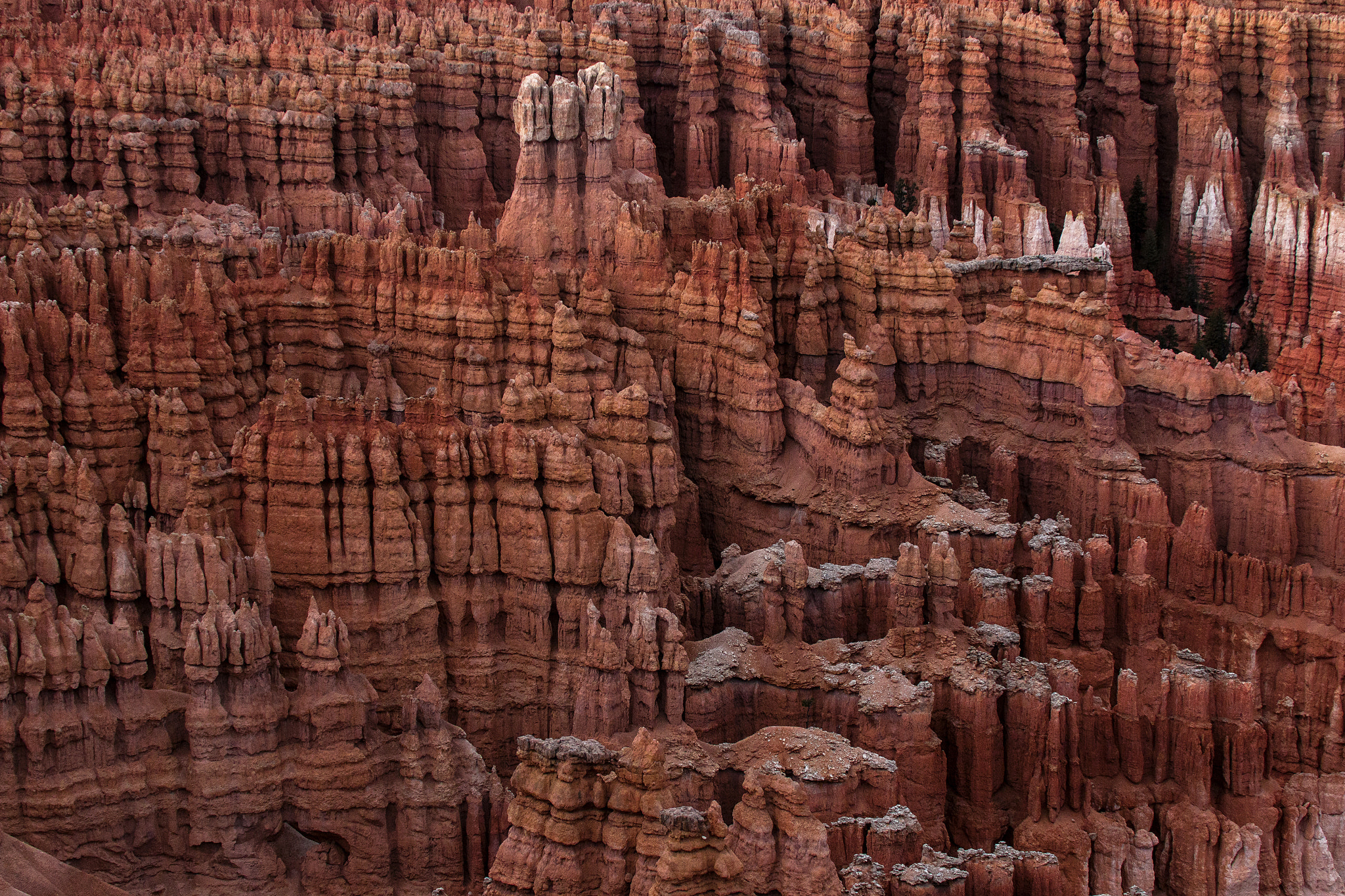Canon EOS 70D + Sigma 50-500mm F4.5-6.3 DG OS HSM sample photo. Hoodoos at bryce at sunset inapiration point photography