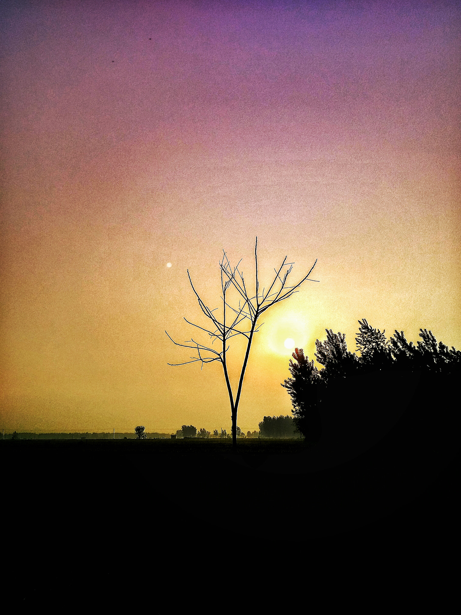 Xiaomi MI NOTE Pro sample photo. 日出 photography