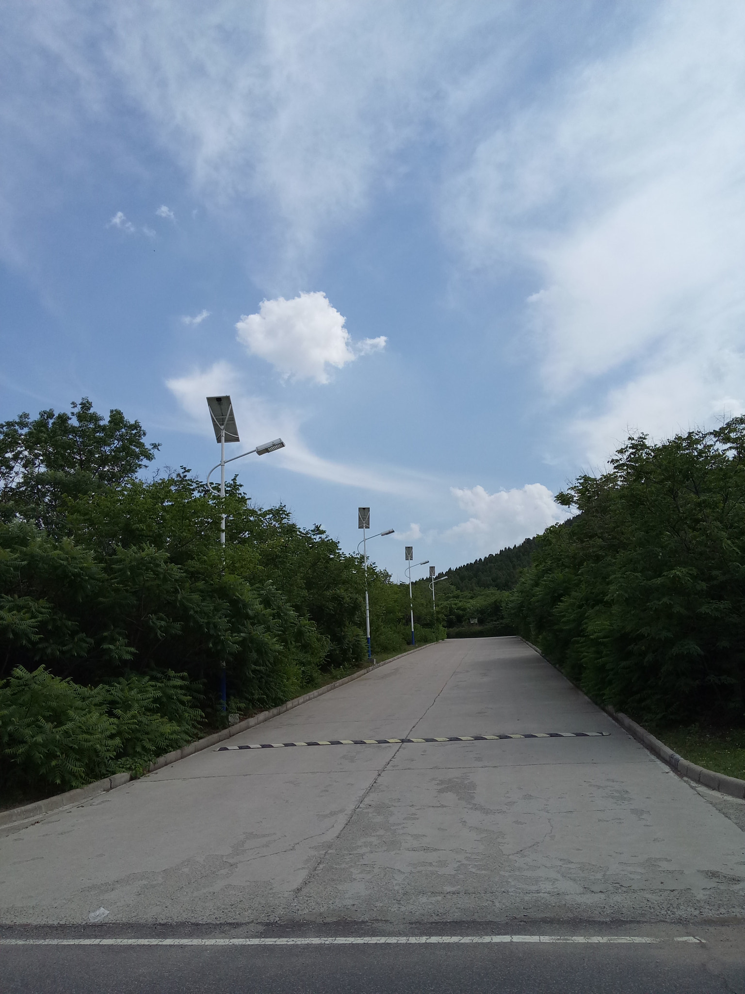 OPPO A37M sample photo