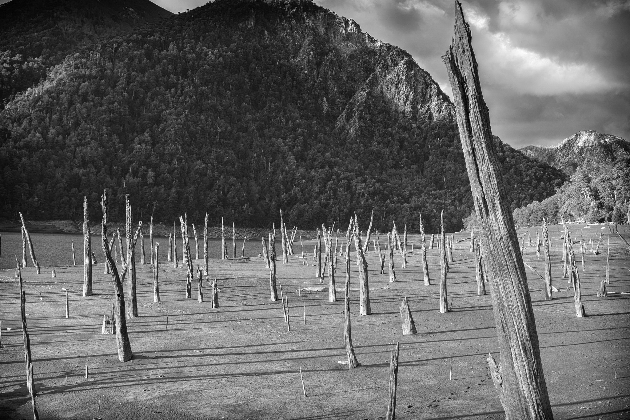 Sony a6000 + Sony Vario Tessar T* FE 24-70mm F4 ZA OSS sample photo. Laguna verde b w photography