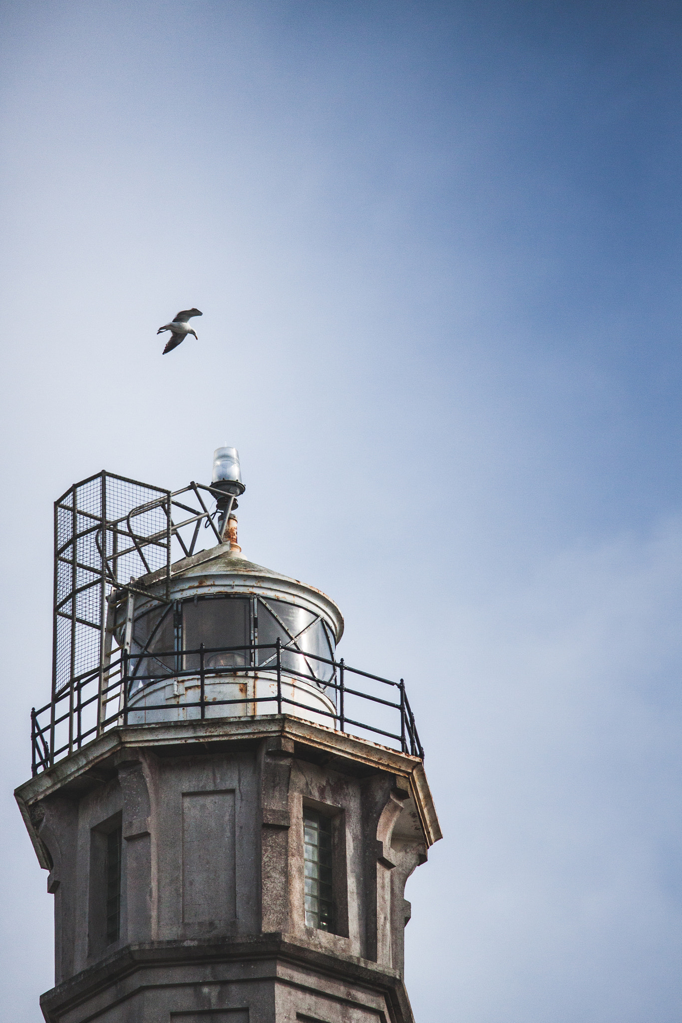 Canon EF-S 55-250mm F4-5.6 IS II sample photo. Light flight photography